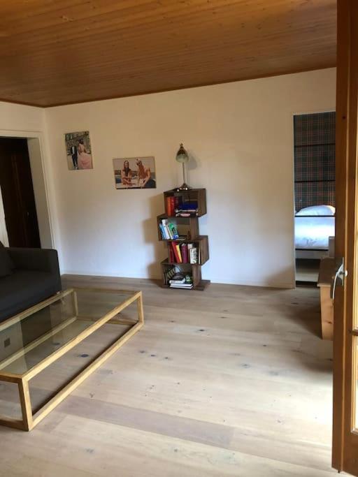 Apartment in the best location of Rougemont,Gstaad