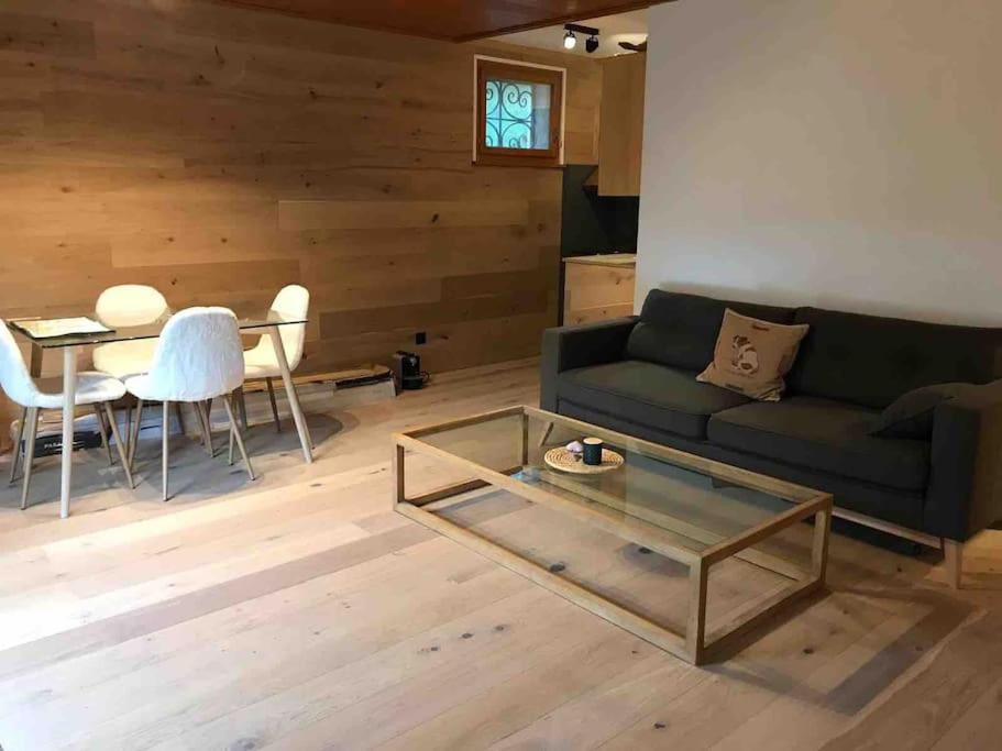 Apartment in the best location of Rougemont,Gstaad