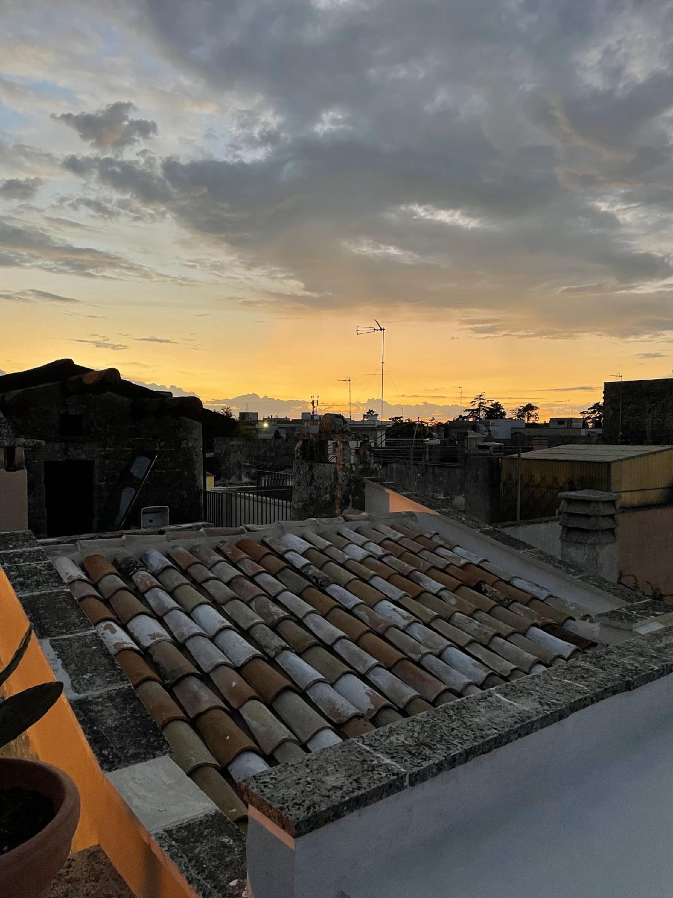 roof