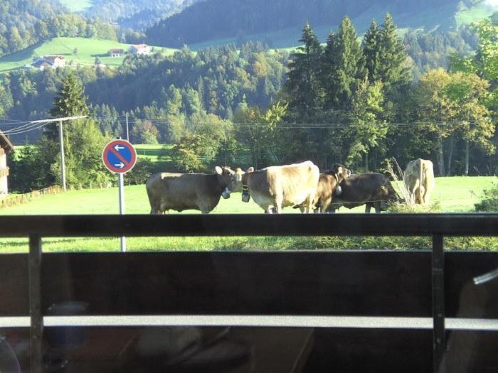Alpenappartement Berger