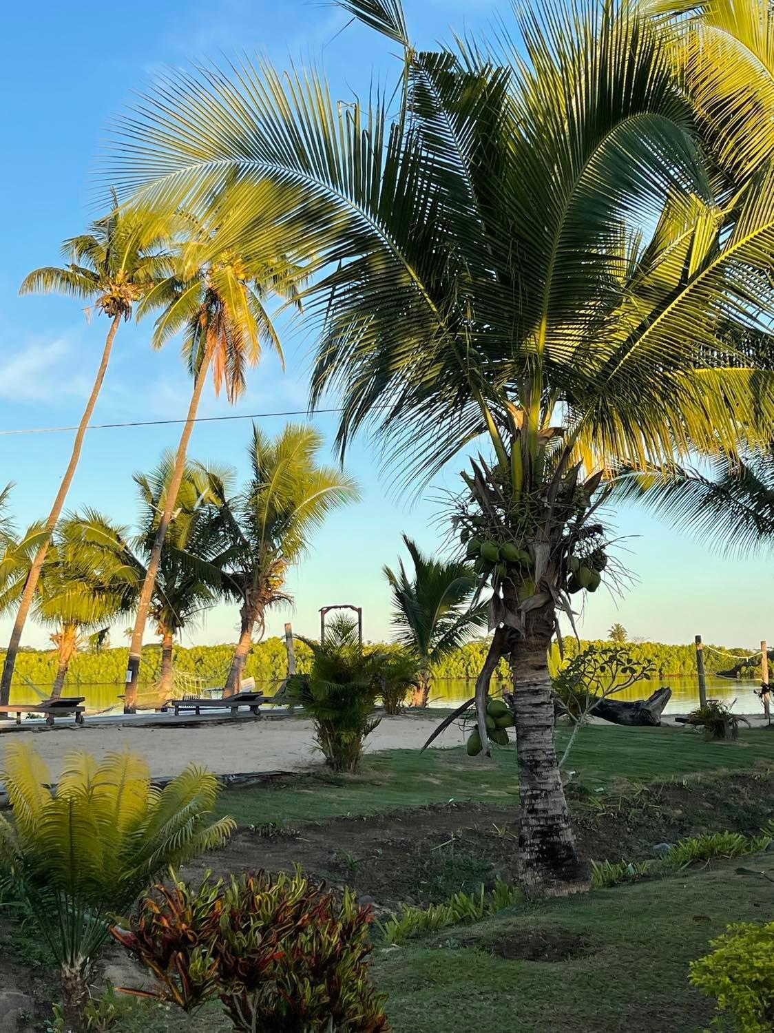 Bula Villa's - Sonaisali Nadi