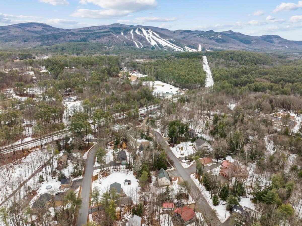 Minutes to Downtown & National Forest Ash Lodge view 4