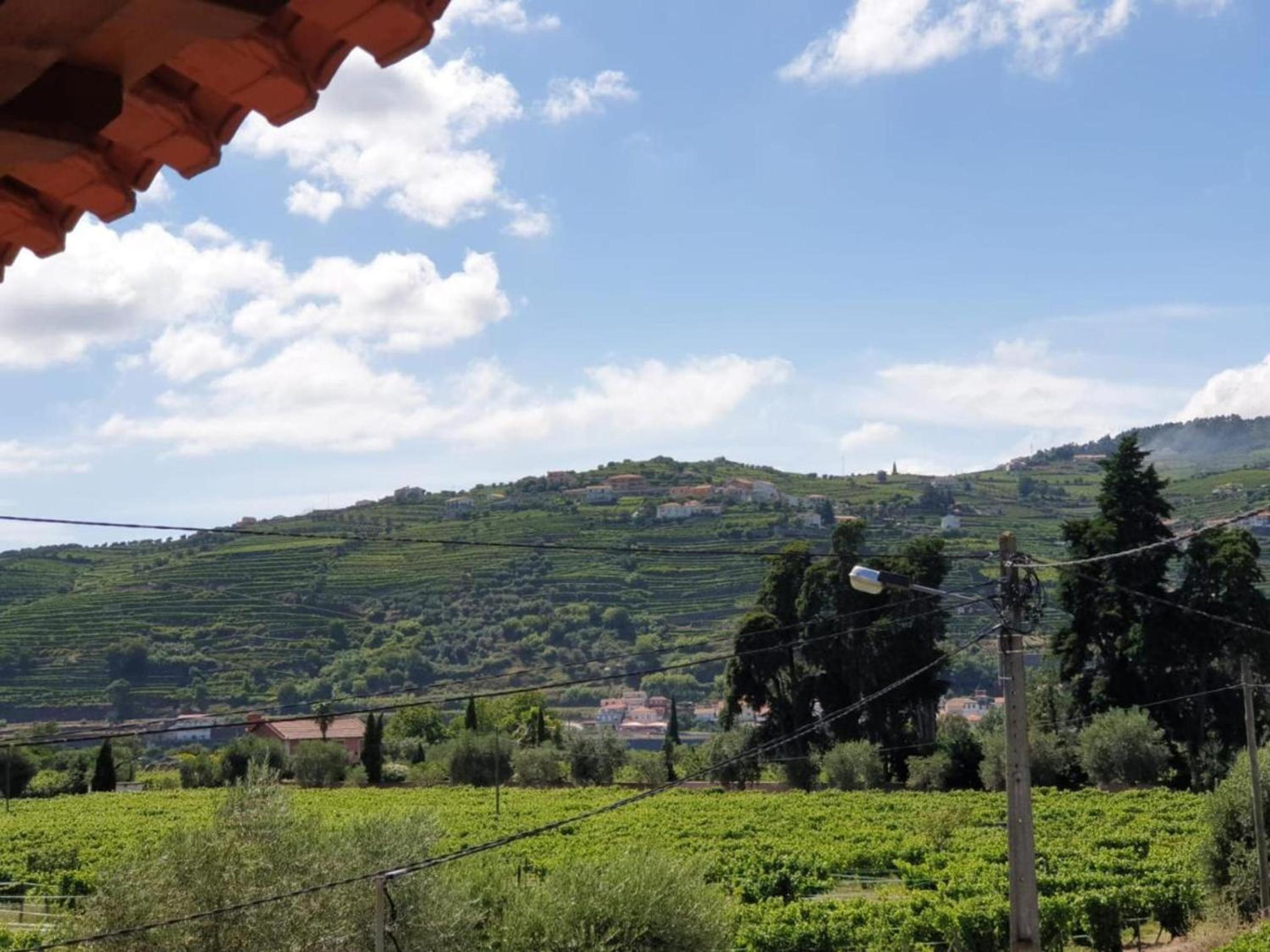 Comfortable House in Lamego with Unfenced Garden