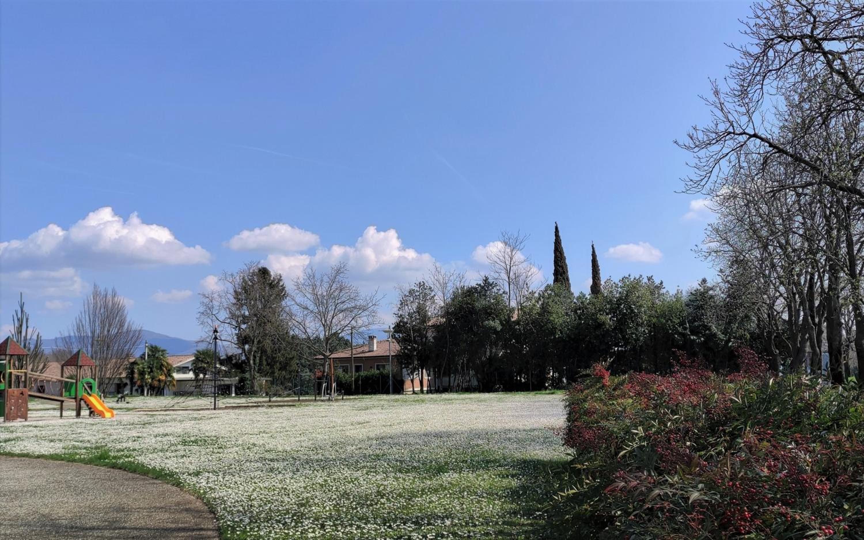 Photo 40