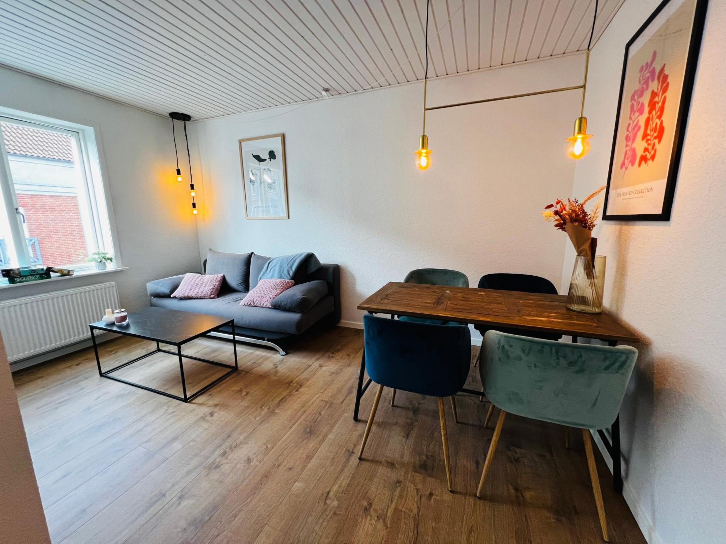 Cozy Flats Silkeborg - 1MTH view 2