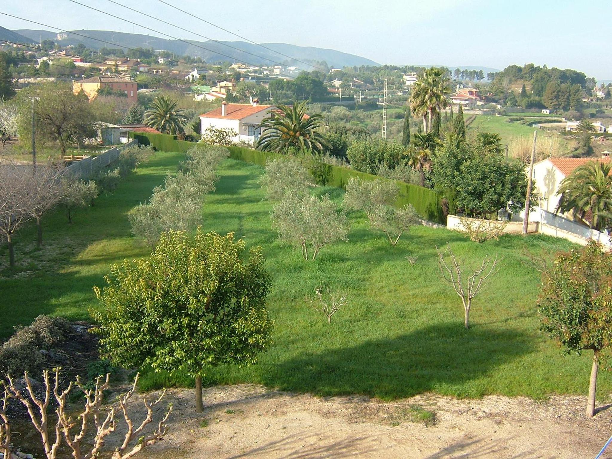 Photo 17
