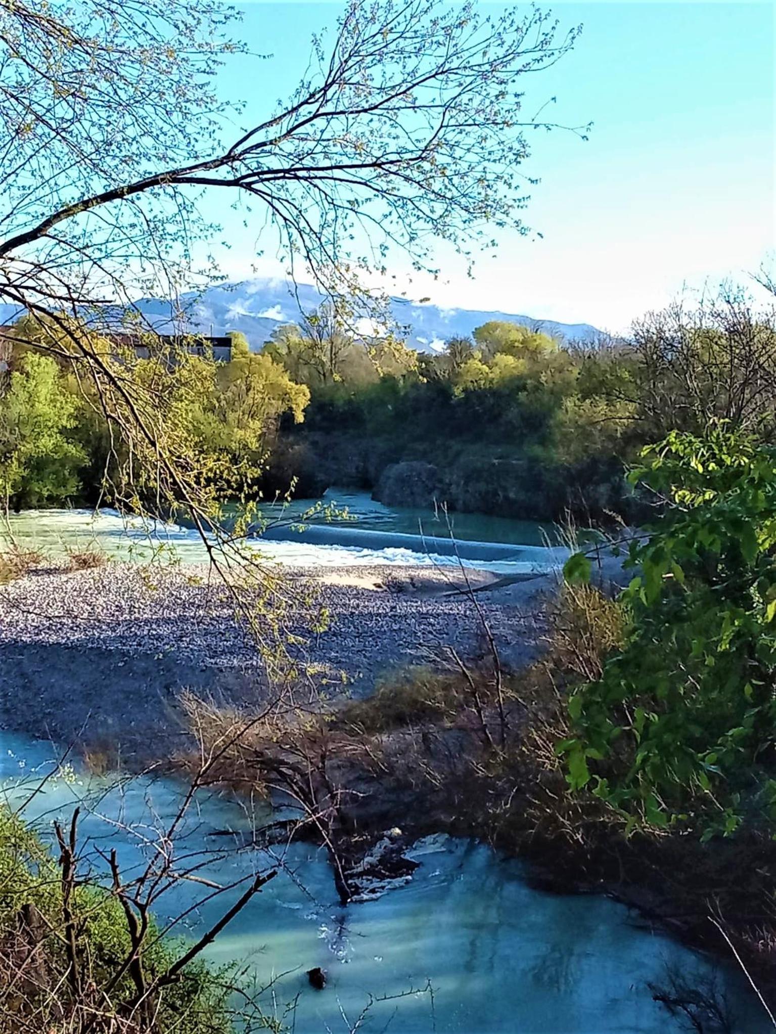 Photo 42