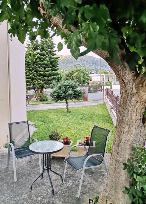 Great apartment with a nice yard