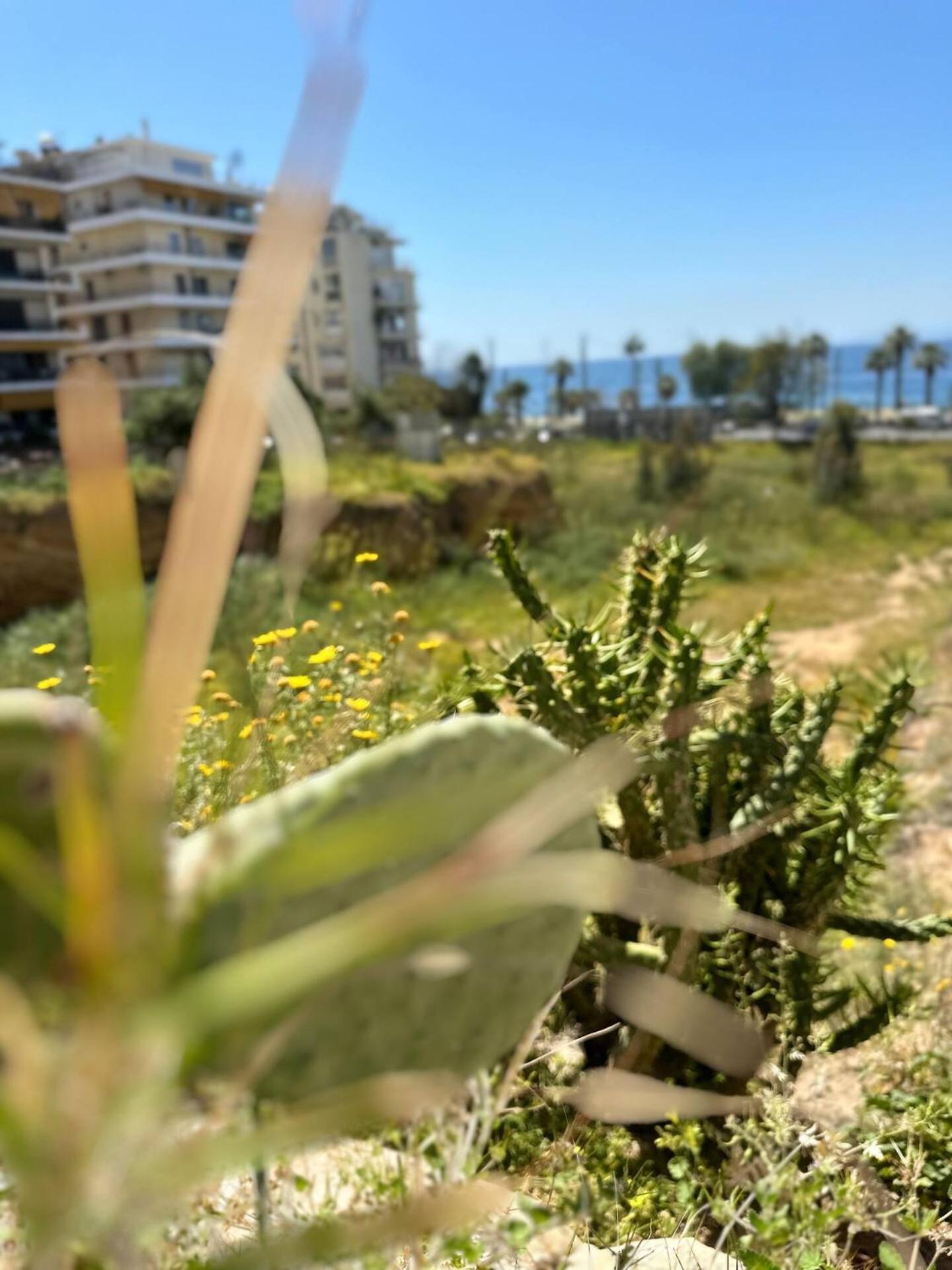 Athenian Coastal Urban Living