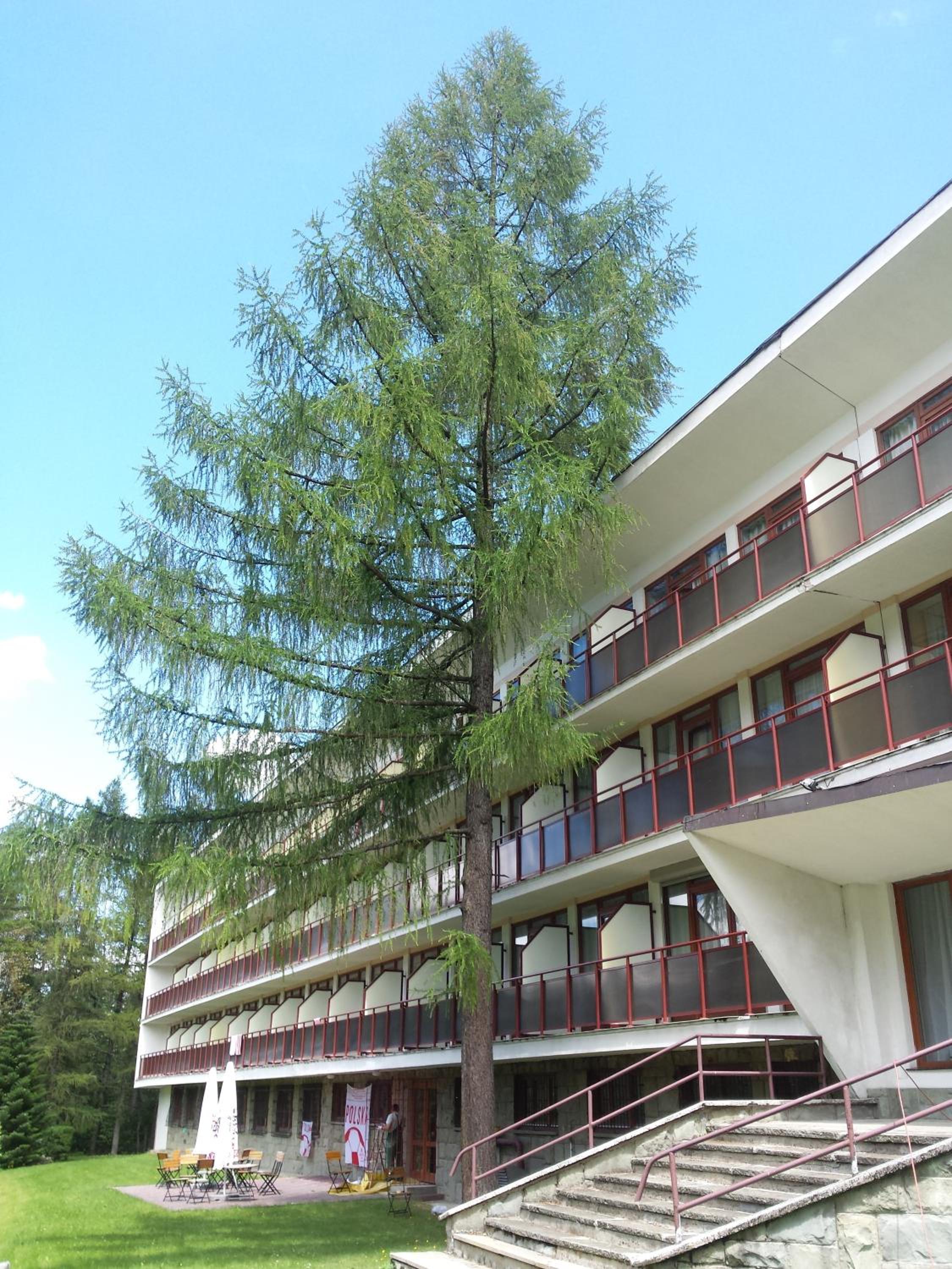 Geovita Zakopane — photo 41