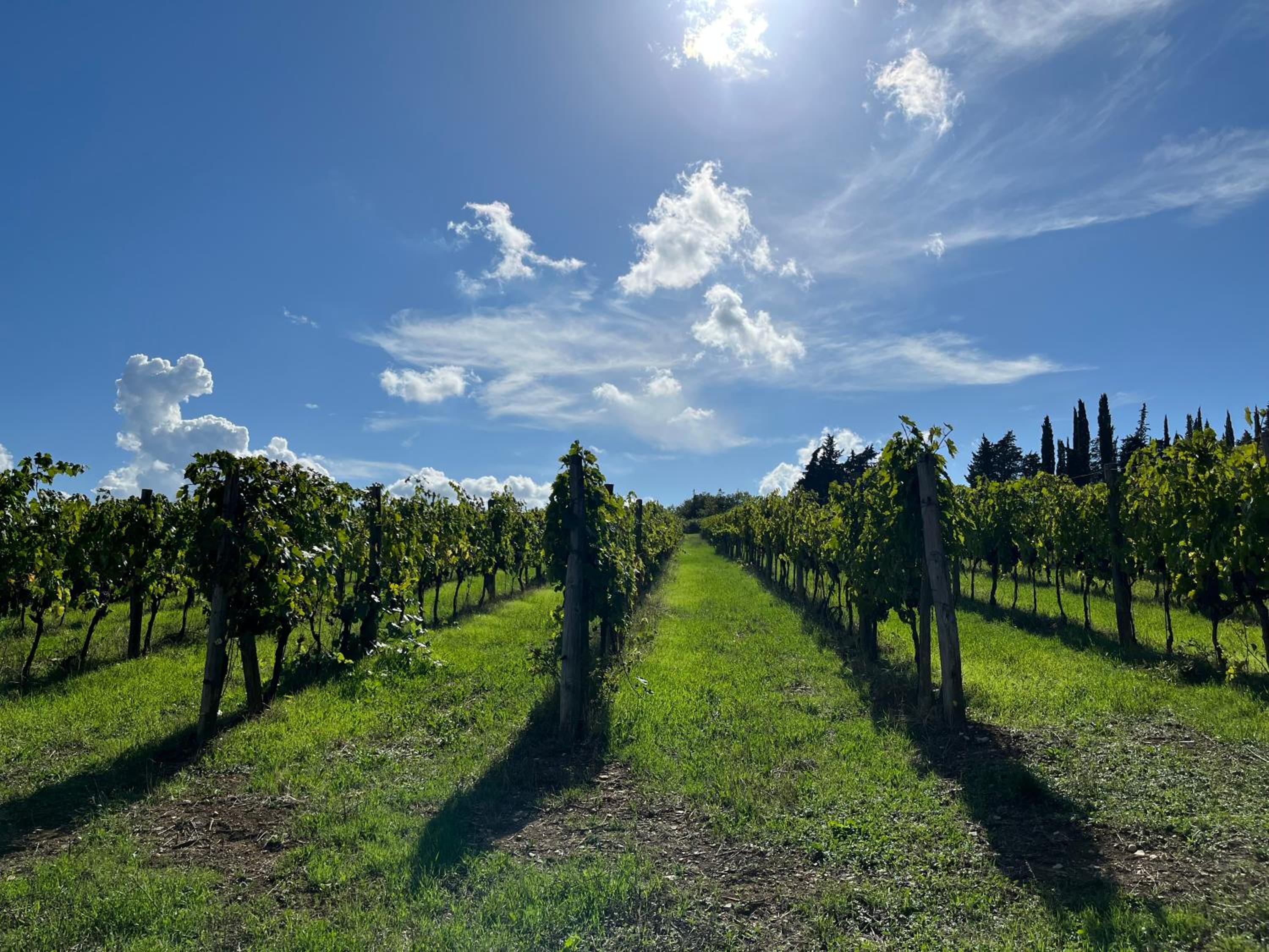 Il Villino Farmhouse