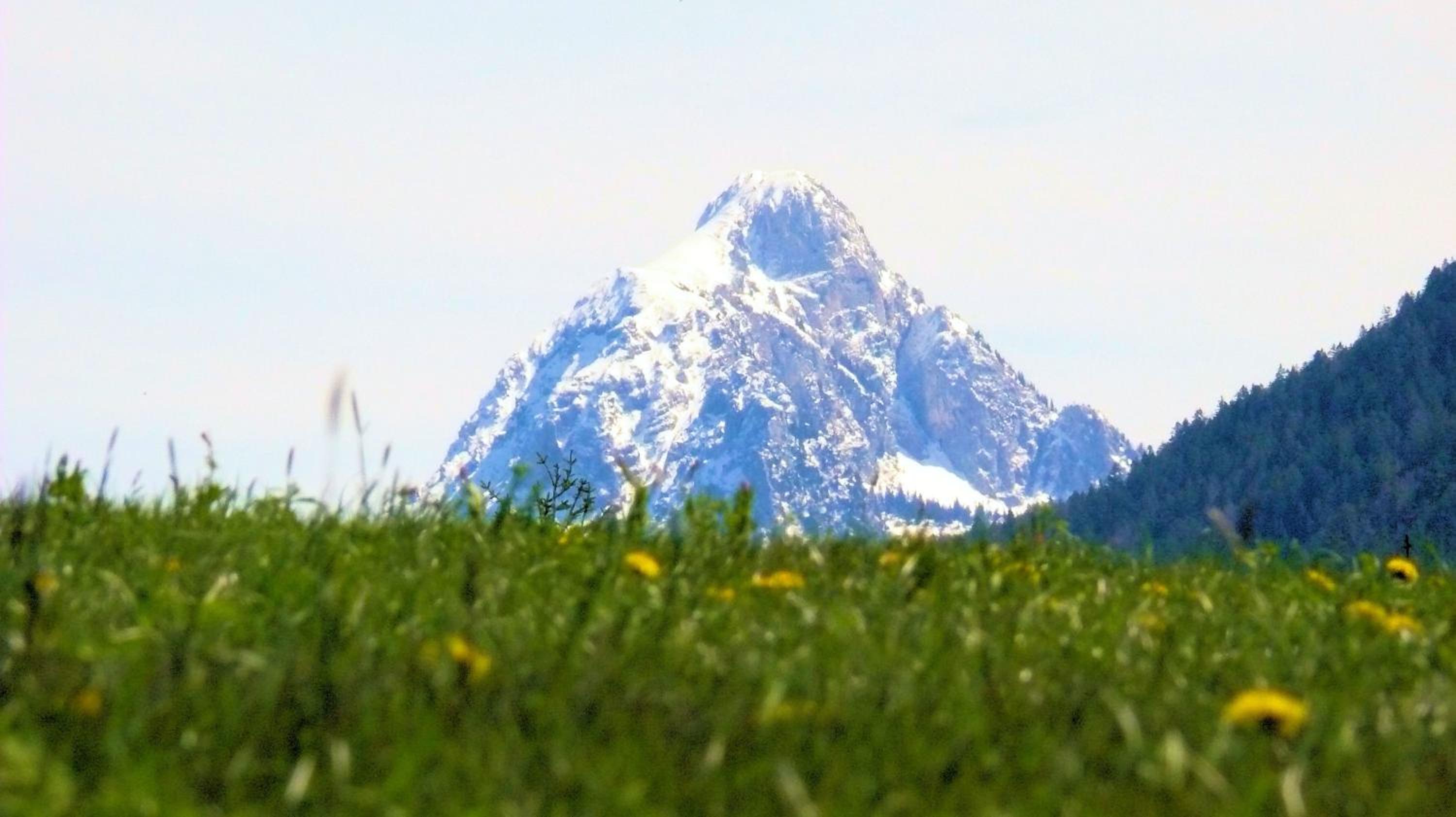 Ferienwohnung-Allgaeu-Pfronten -Inkl KönigsCard Fewo FALKENSTEIN