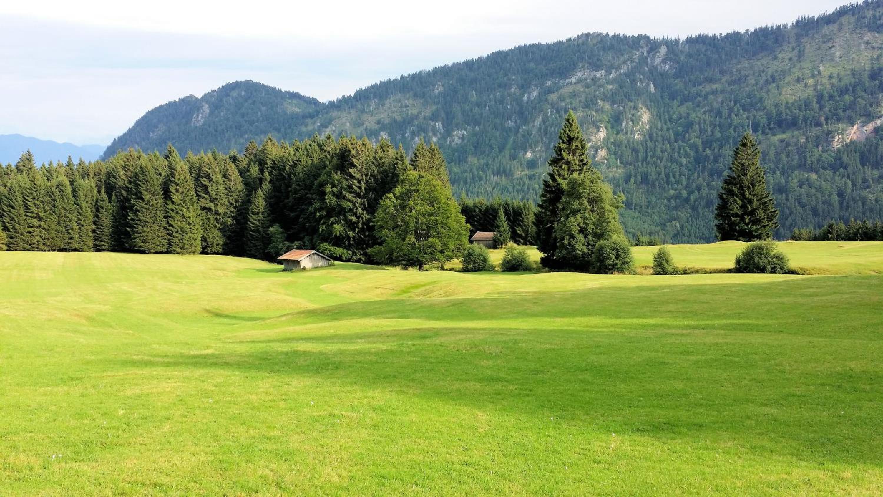Ferienwohnung-Allgaeu-Pfronten -Inkl KönigsCard Fewo FALKENSTEIN