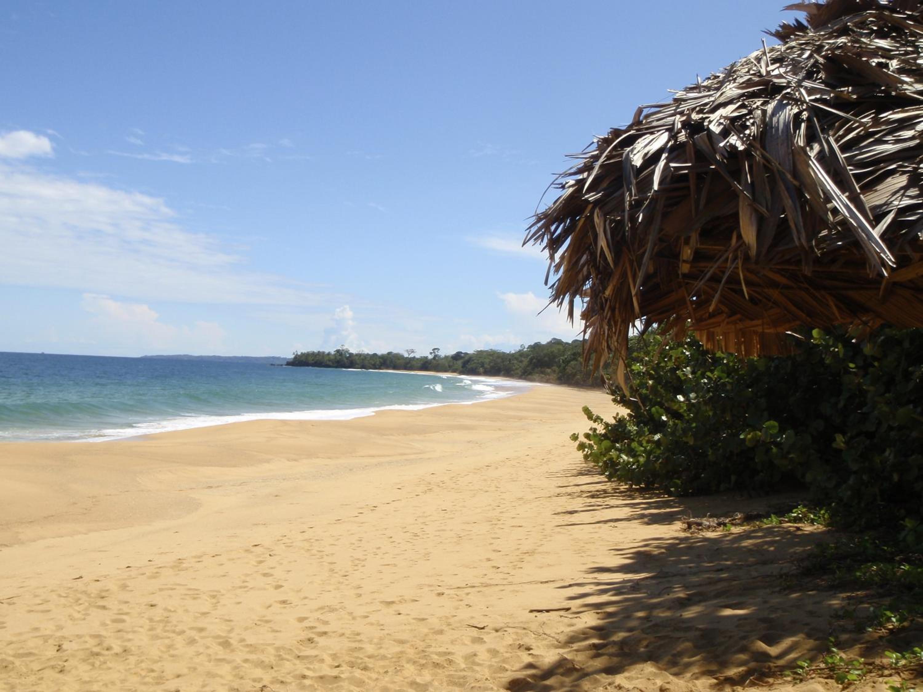 Bluff Beach Retreat