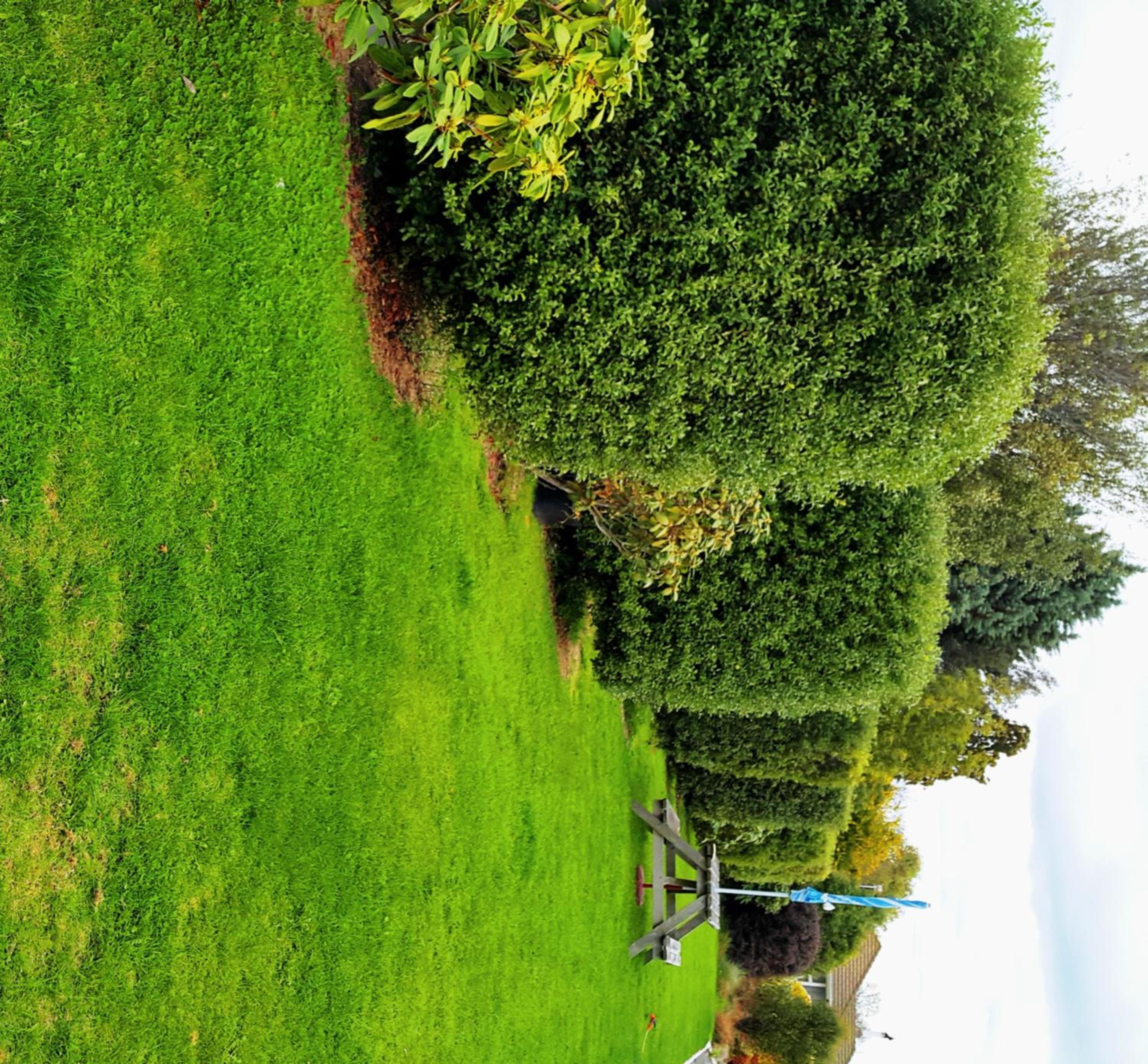 Lilybrook Motel