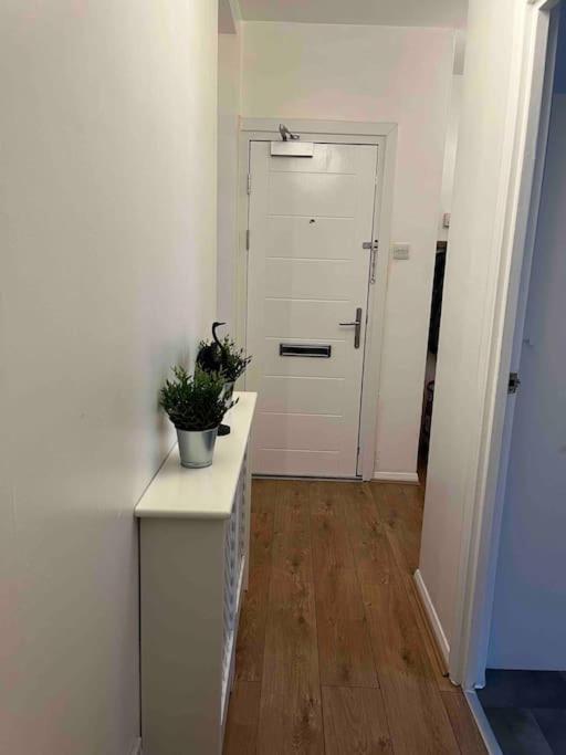 Amazing + Central Cozy Apt London