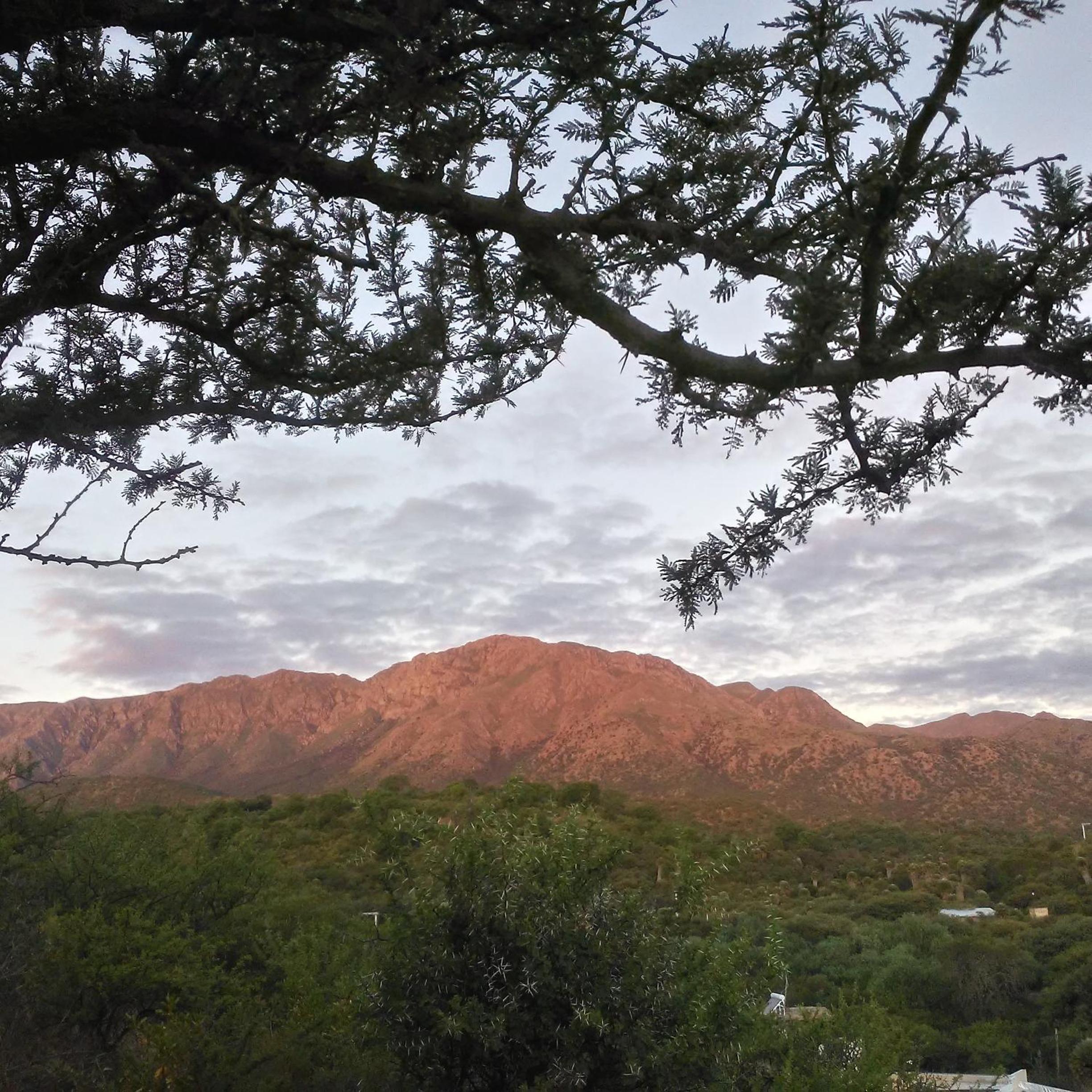 Palmares al cerro