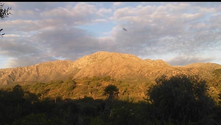 Palmares al cerro
