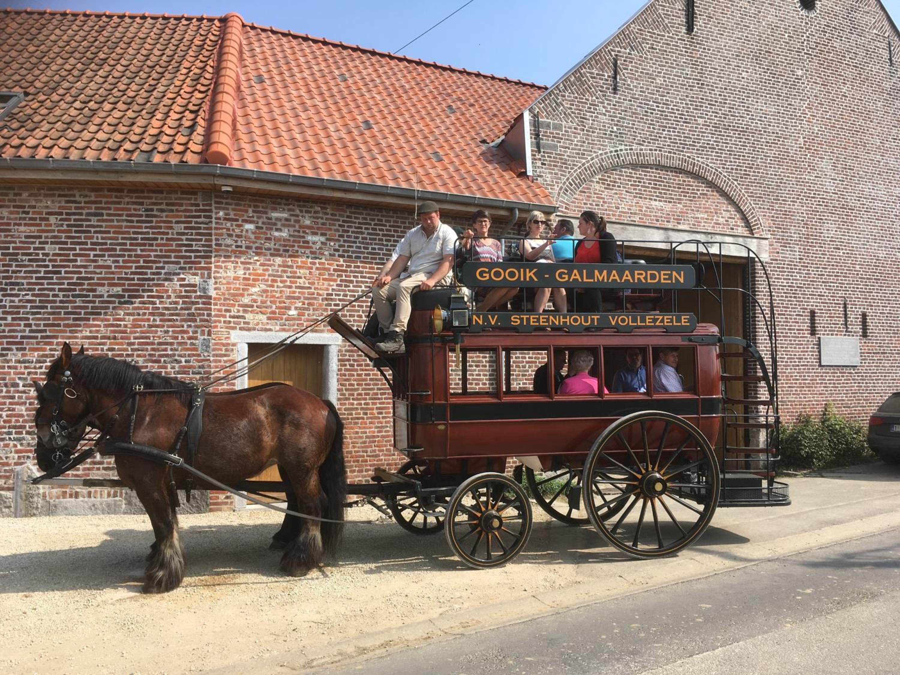 B&B Hof Ter Haegen