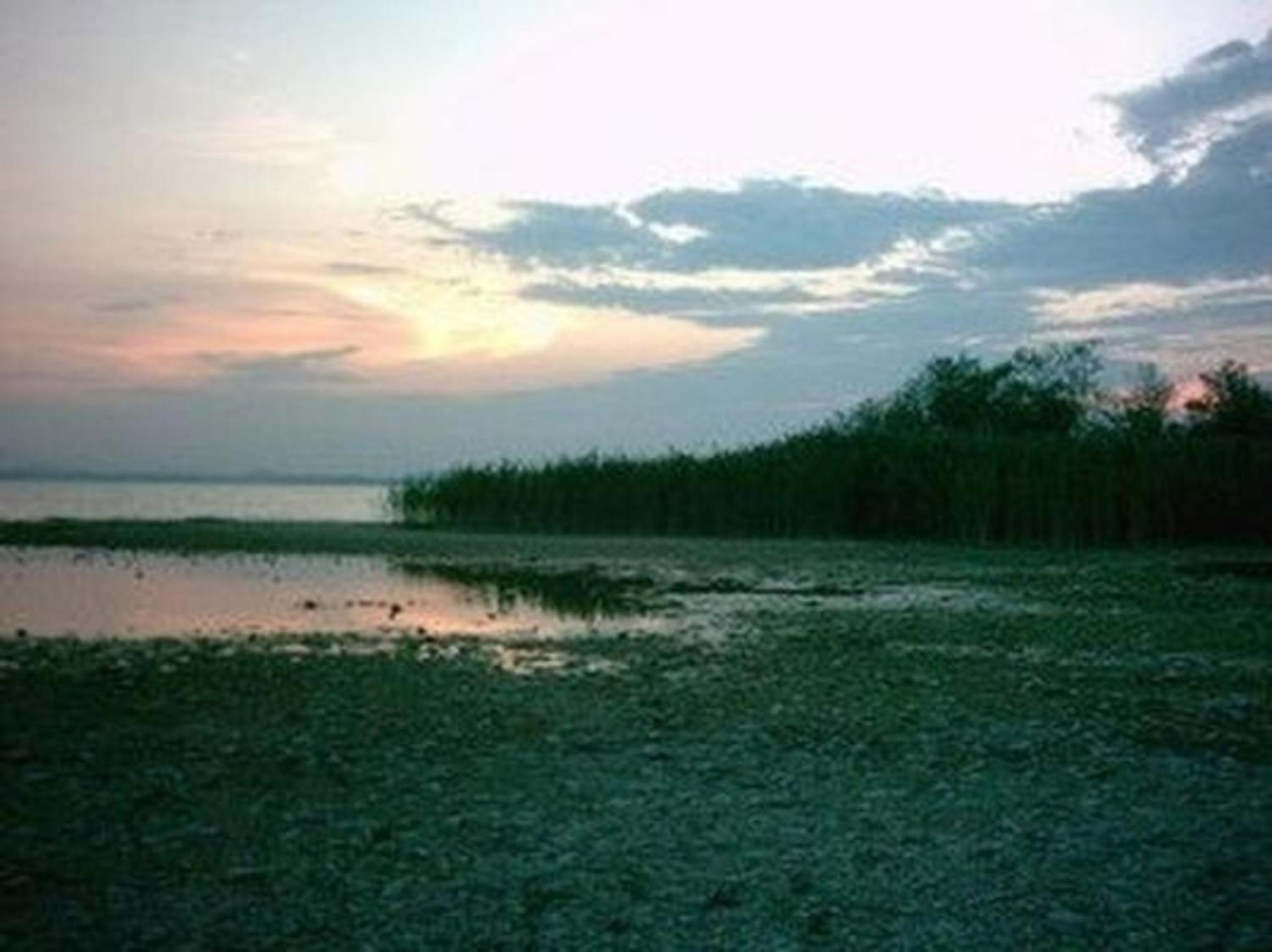 Forsthaus am Chiemsee