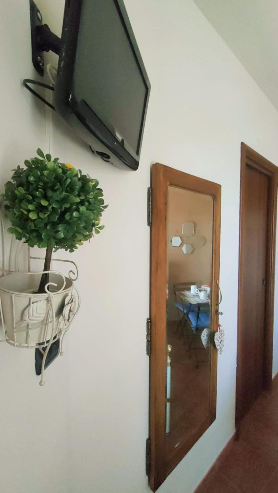 Photo 31