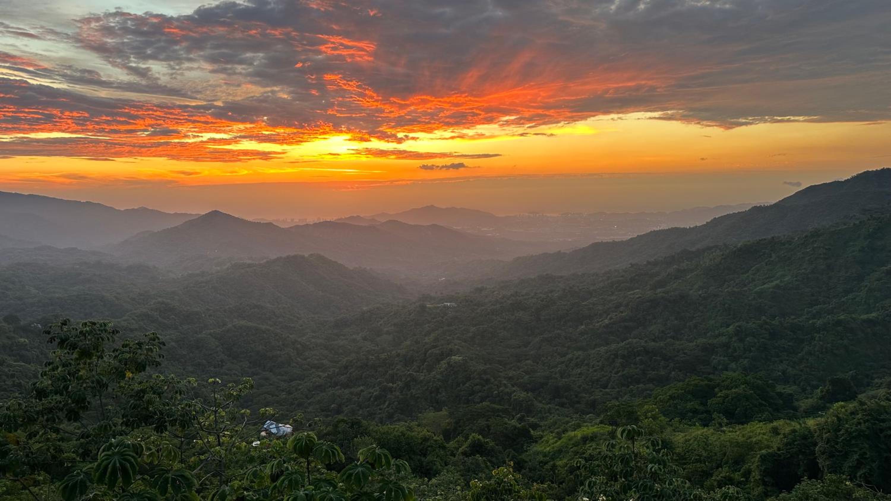 Villa Canopy Minca - Property Image 30