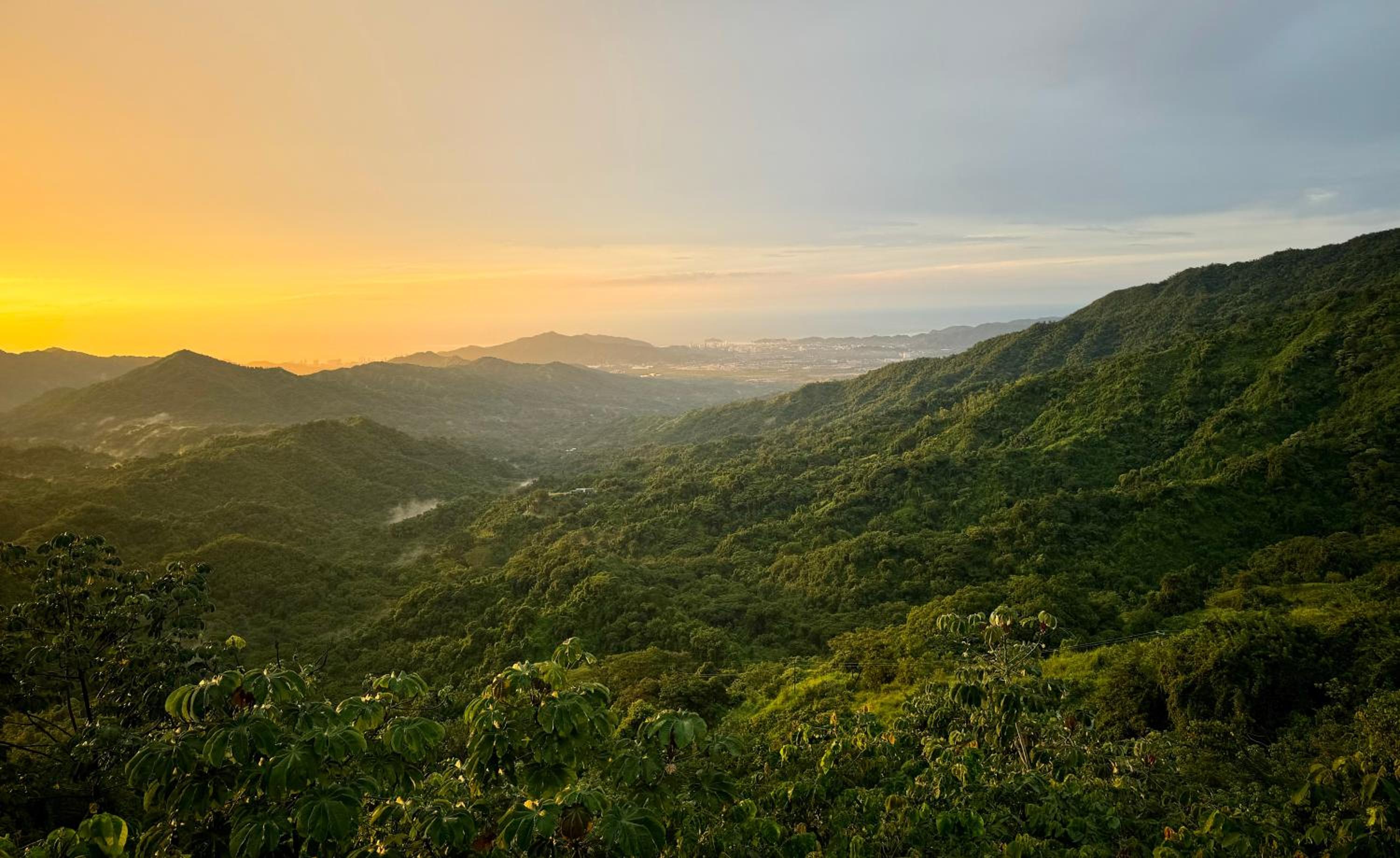 Villa Canopy Minca - Property Image 20