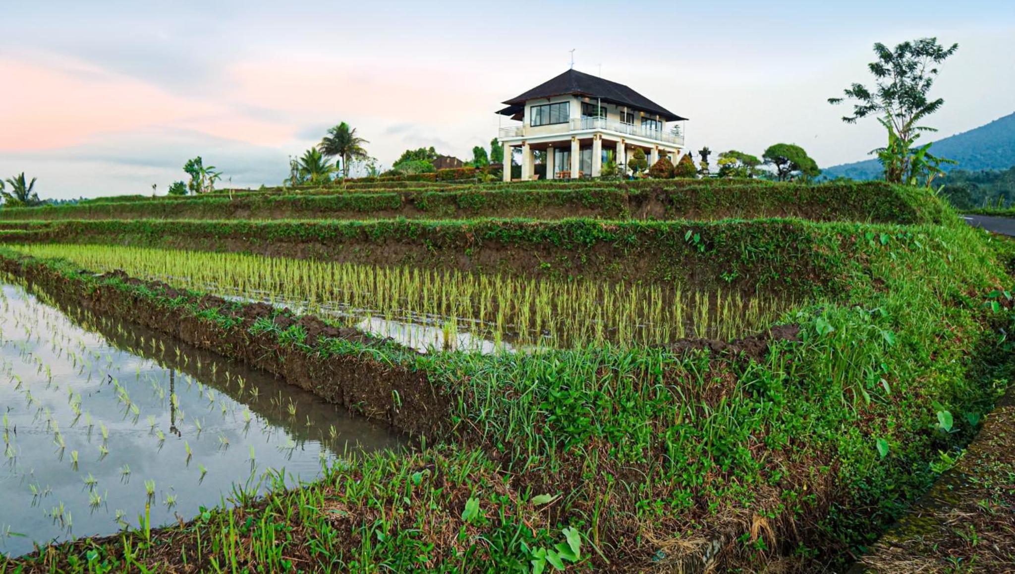 Dragonfly Cottage - 2Br Villa Jatiluwih