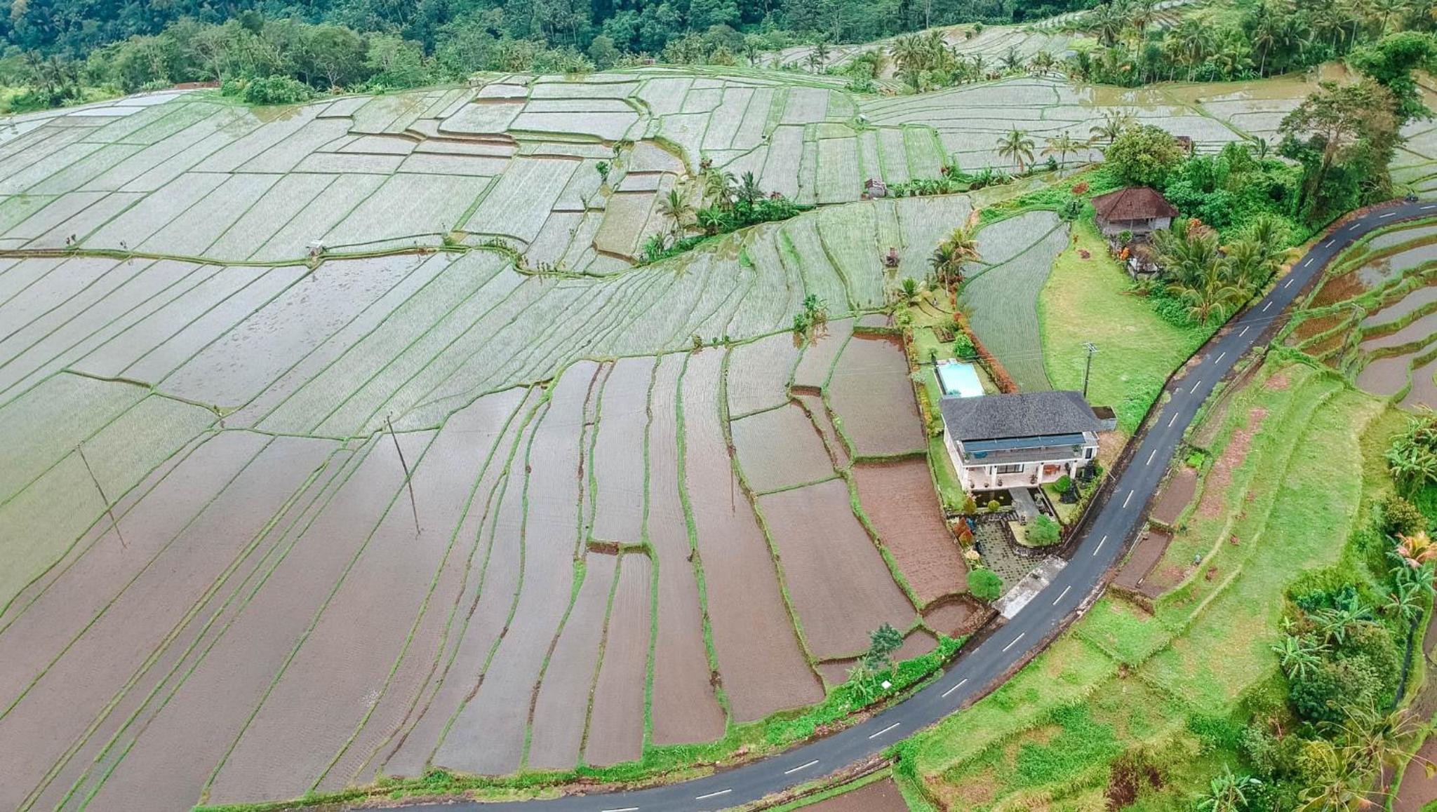 Dragonfly Cottage - 2Br Villa Jatiluwih