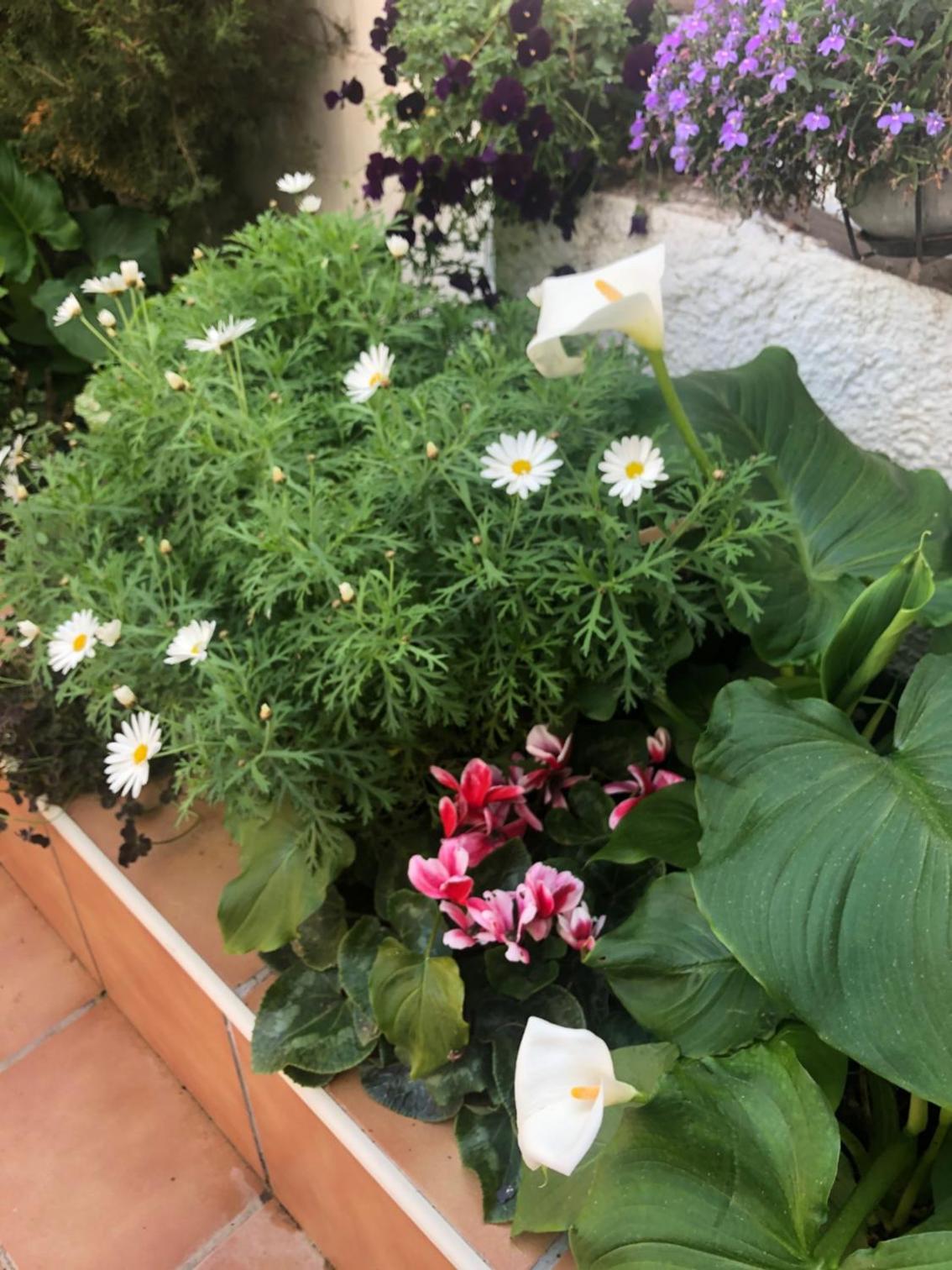 Albiretes