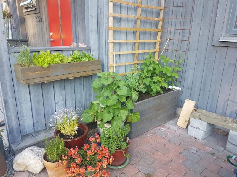 Photo 29
