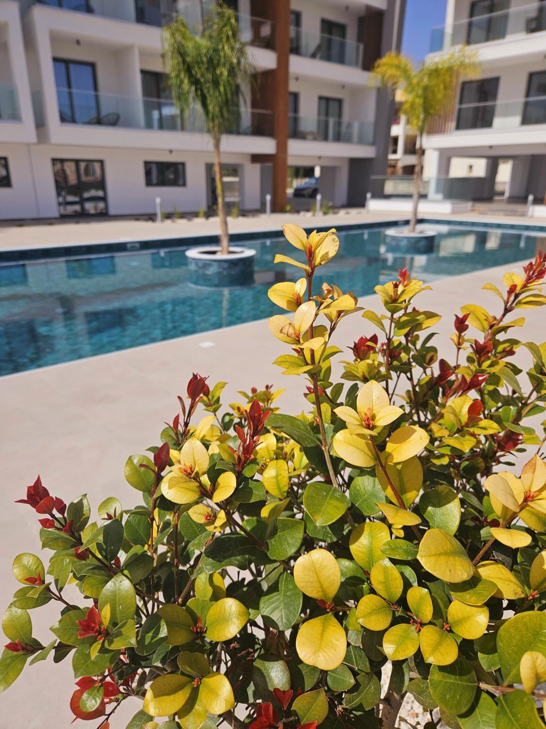 Two bedroom apartment, Universal Residences