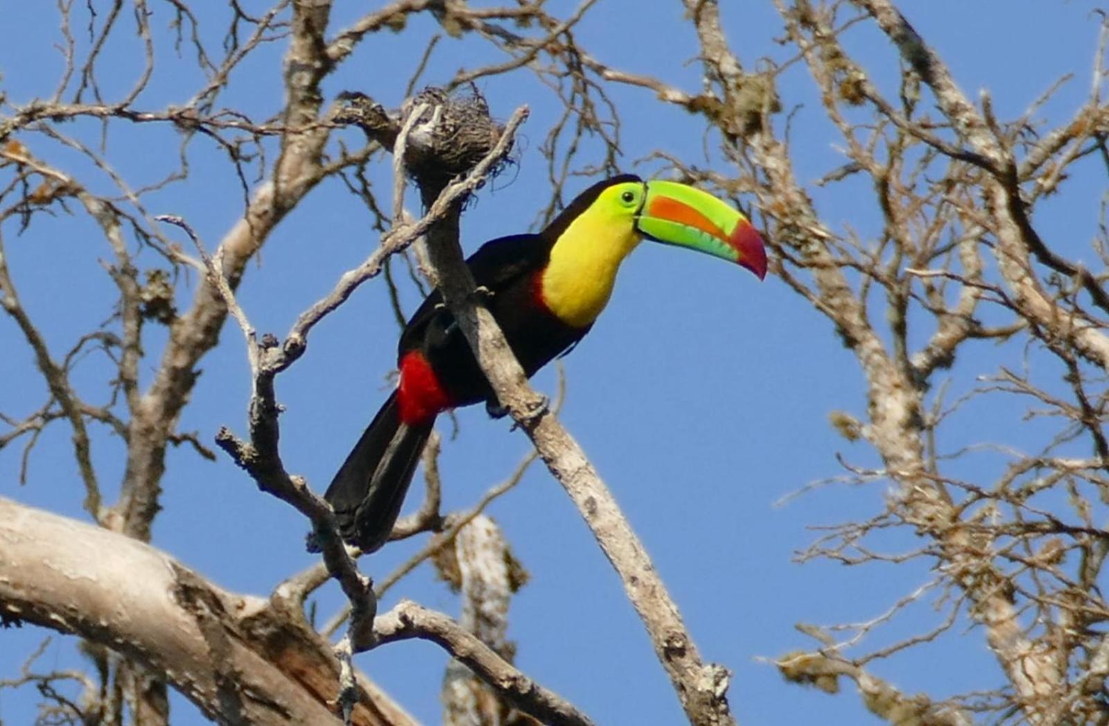 Villa Canopy Minca - Property Image 26