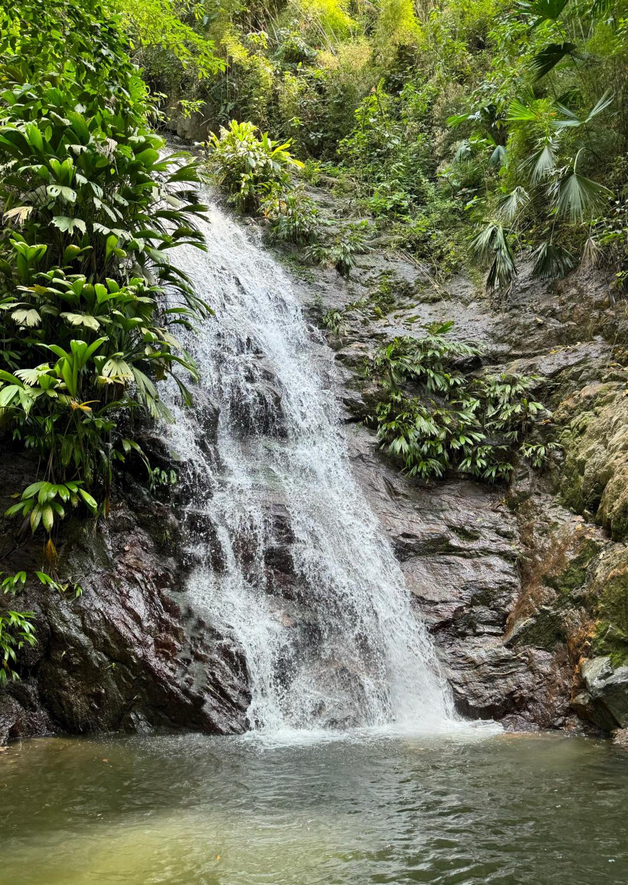 Villa Canopy Minca - Property Image 28