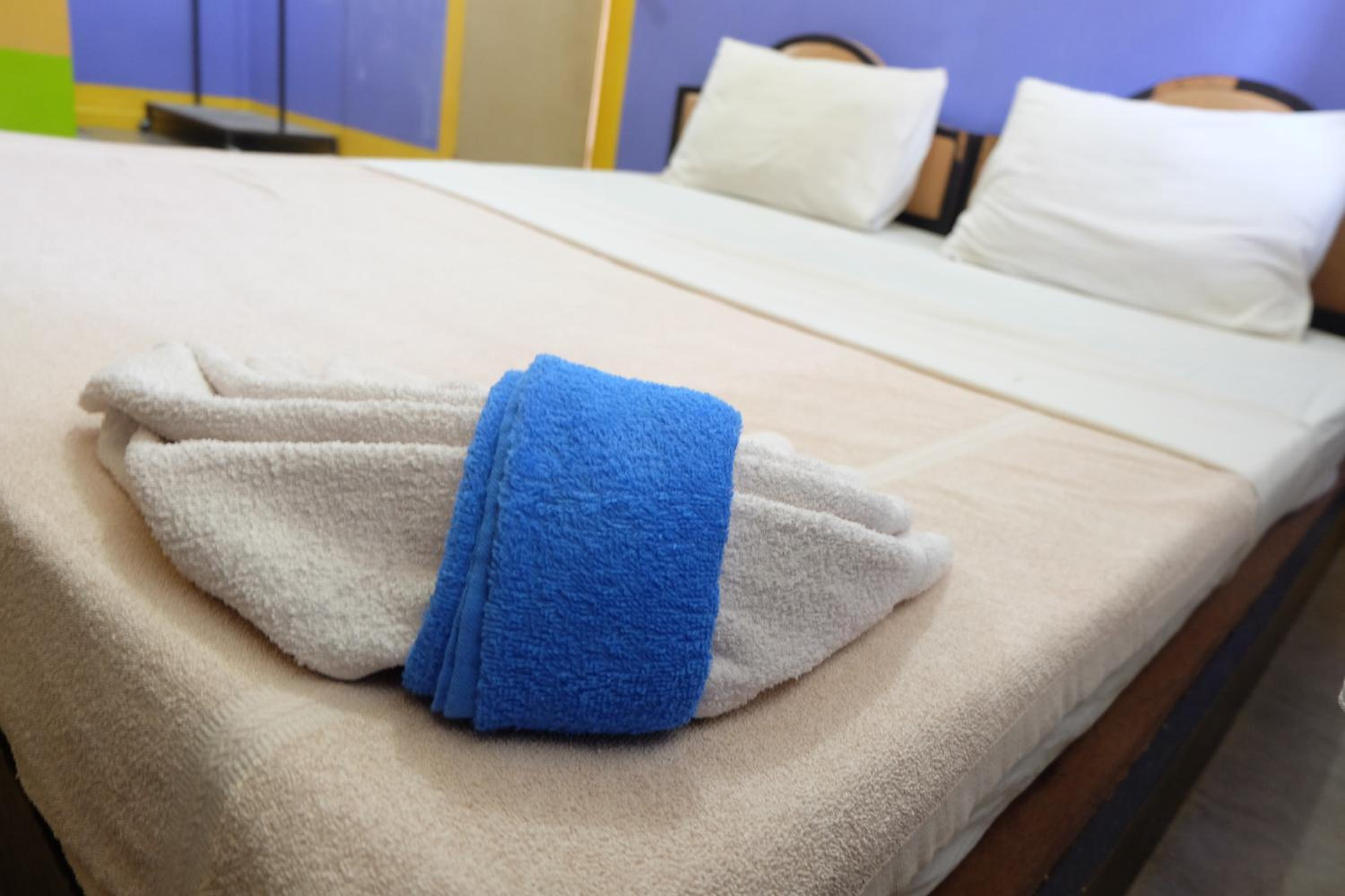 B&B House & Hostel