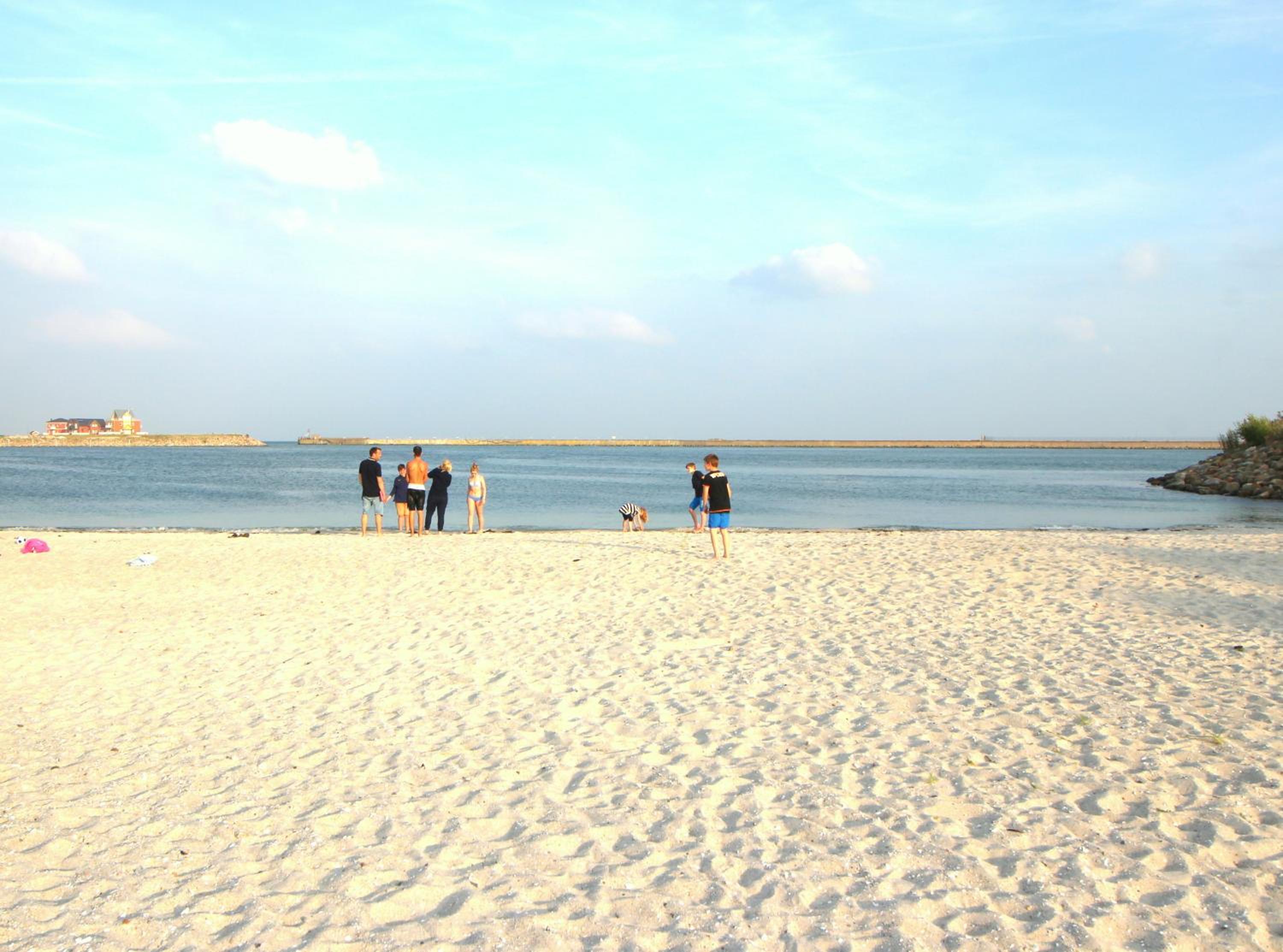 Strandhaus Libelle - direkt am Strand der Ostsee