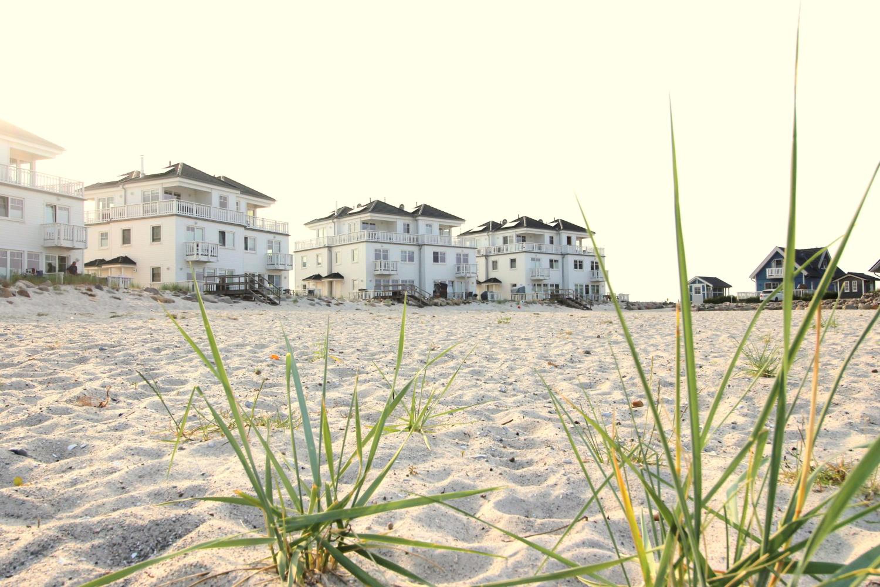 Strandhaus Libelle - direkt am Strand der Ostsee