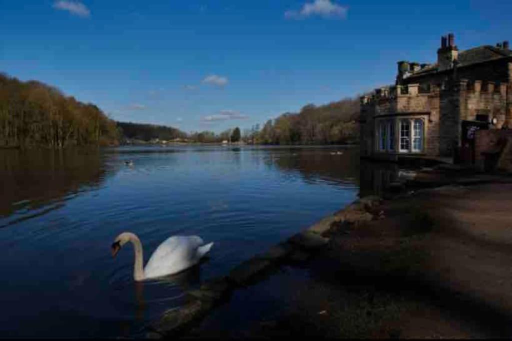Millstone Cottage Newmillerdam