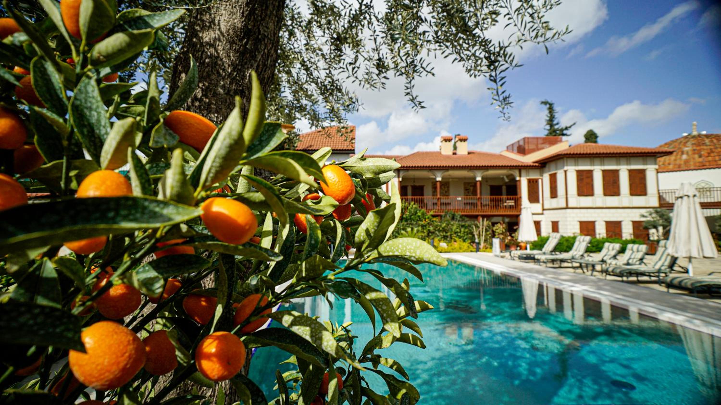 RuinAdalia Otel - Yetişkinlere Özel - Image 31