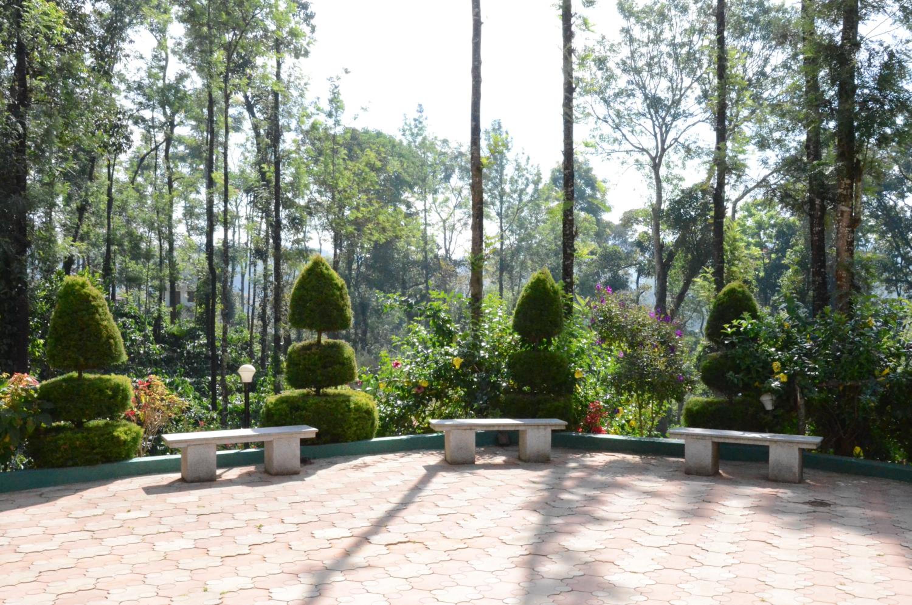 Ibbanicadu Estate Homestay view 2