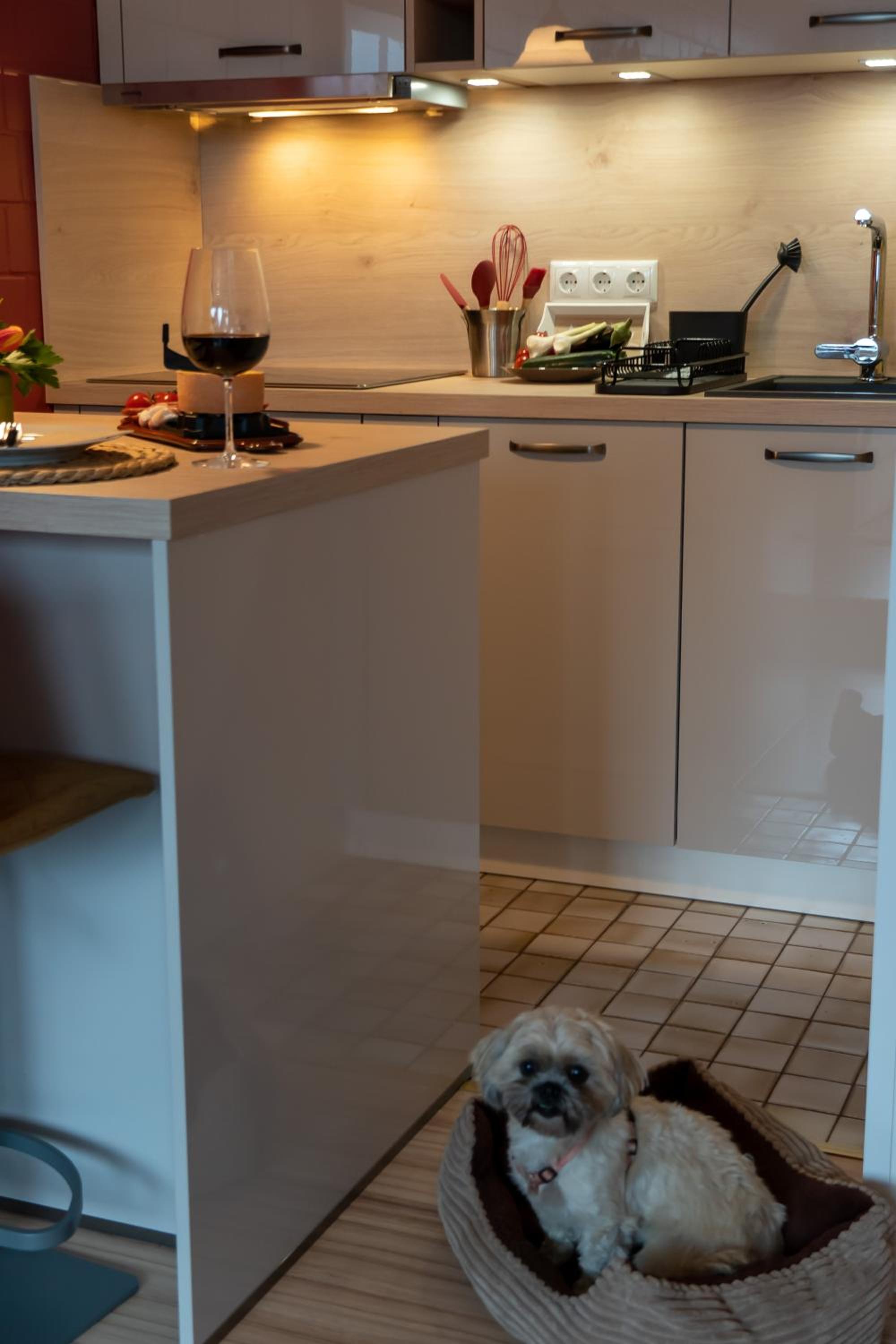 FeWo Harzer Weitblick, bis 2 Hunde Willkommen, W-Lan, 2x Smart TV, DTV 4 Sterne, 4 Pfoten