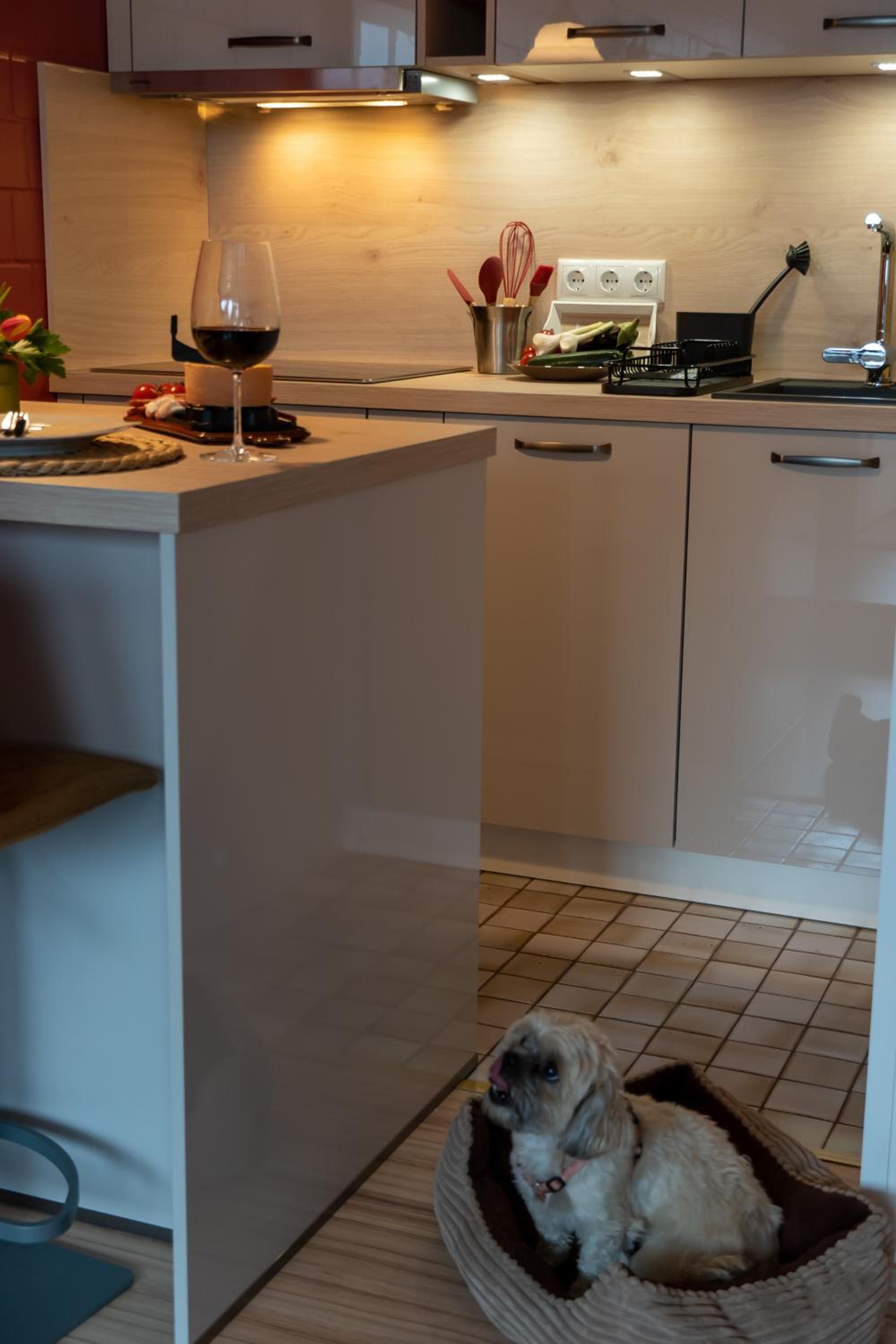 FeWo Harzer Weitblick, bis 2 Hunde Willkommen, W-Lan, 2x Smart TV, DTV 4 Sterne, 4 Pfoten