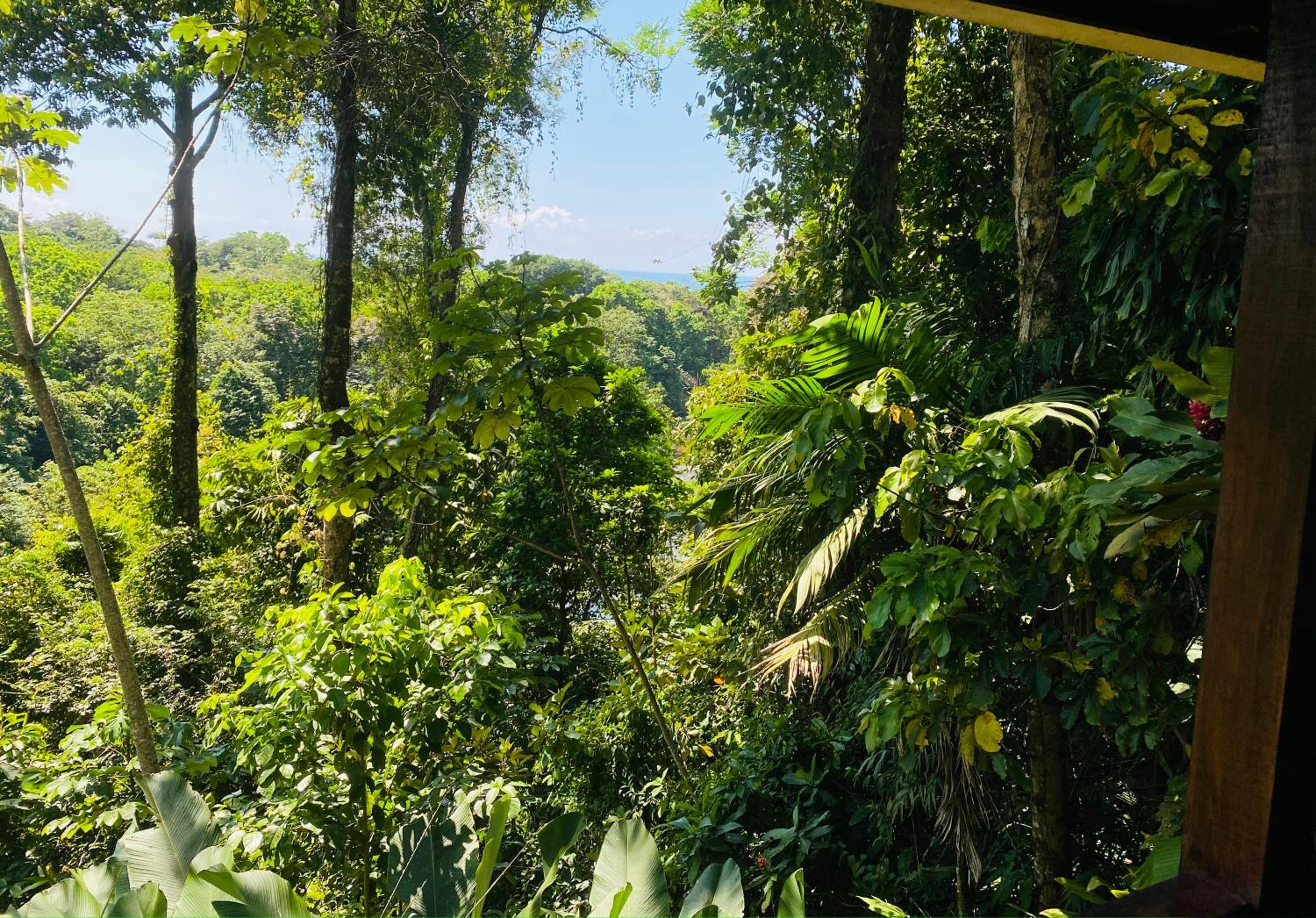 Villas en el Bosque