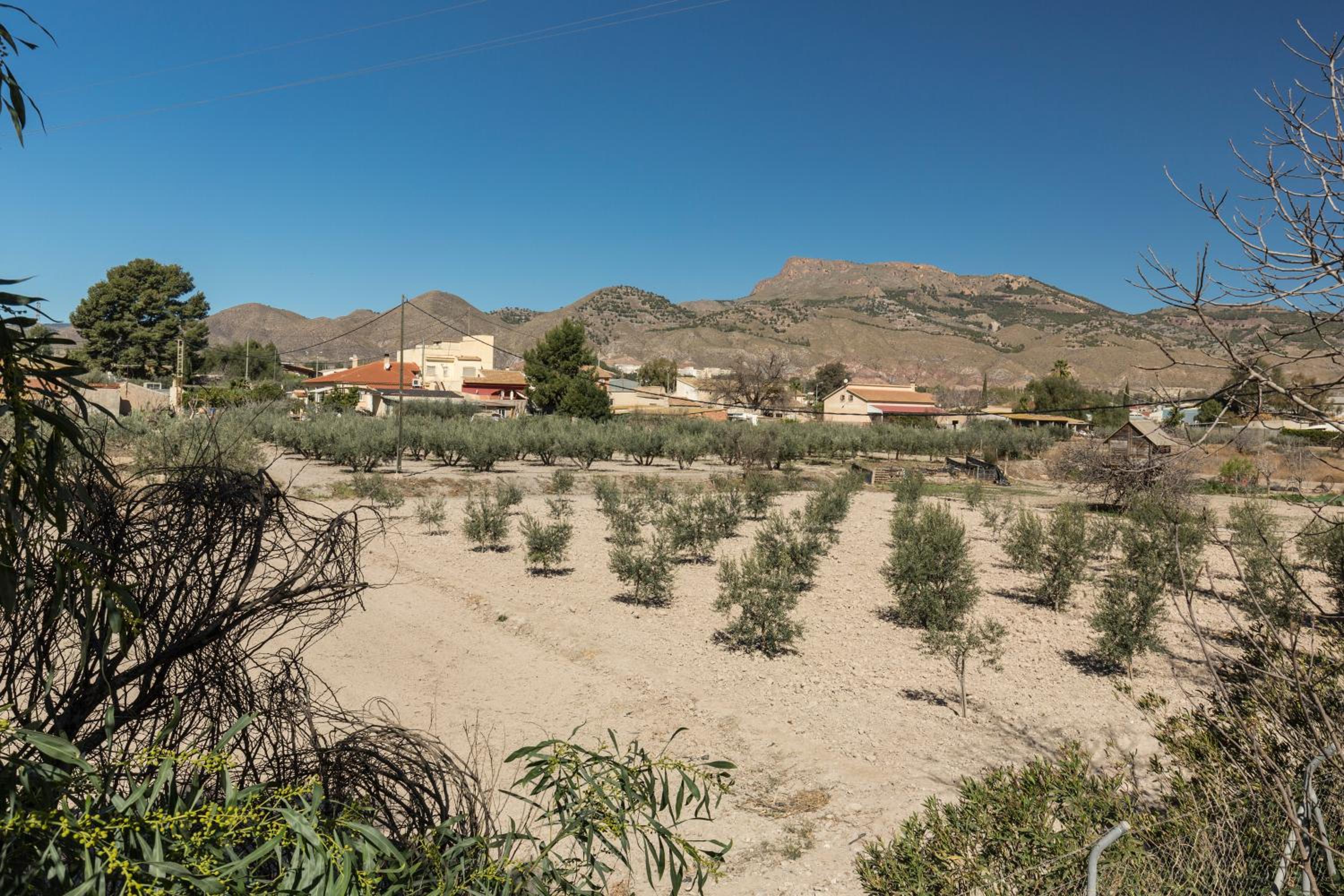 Casa Venta Ruizo