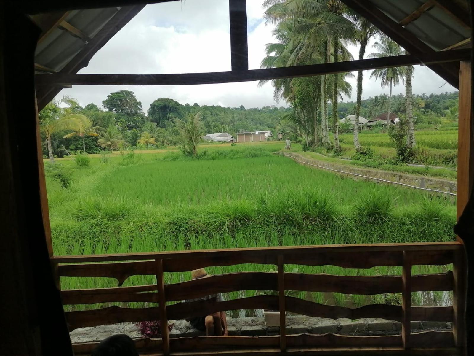 padi bungalow
