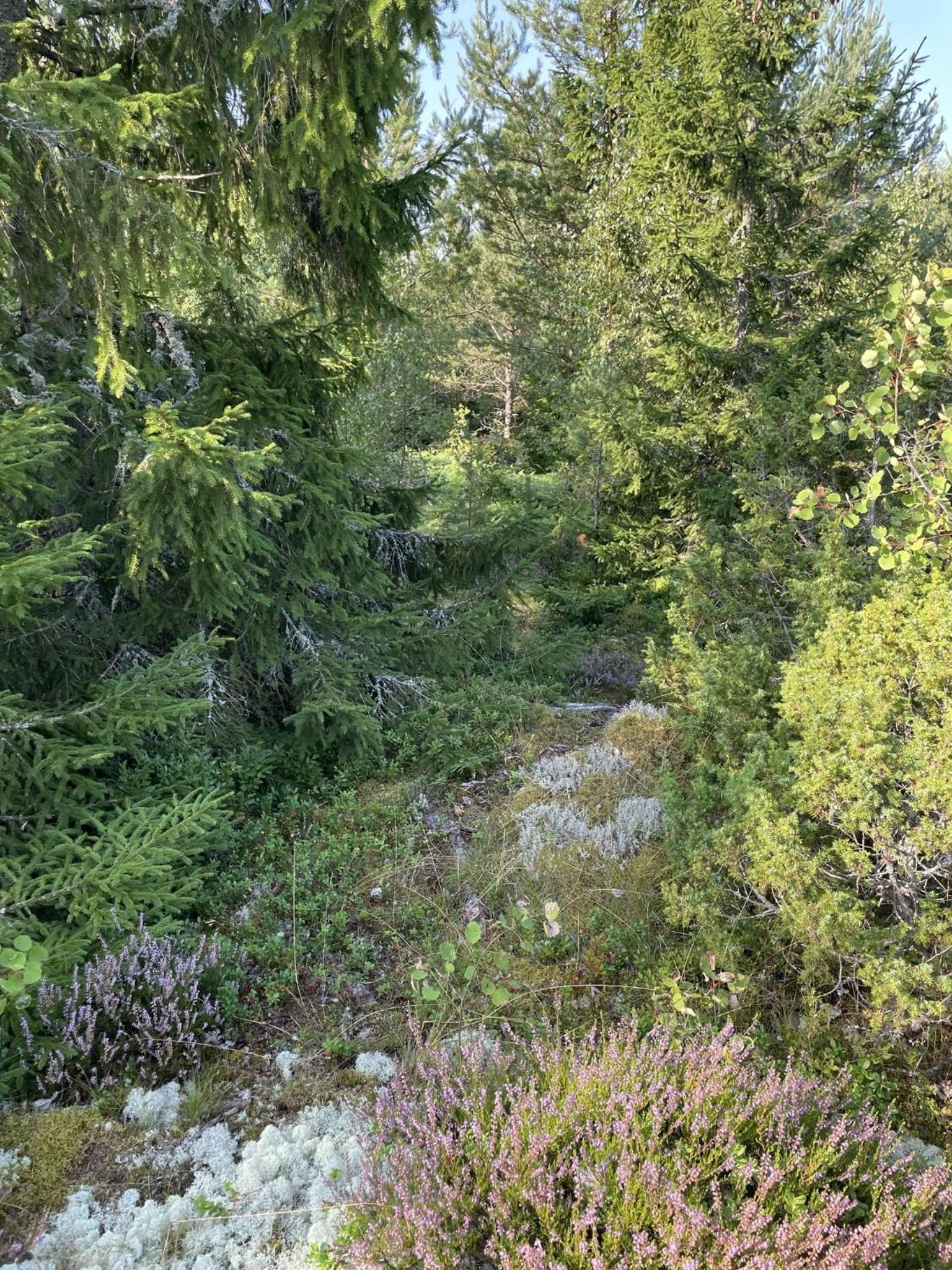 Photo 25