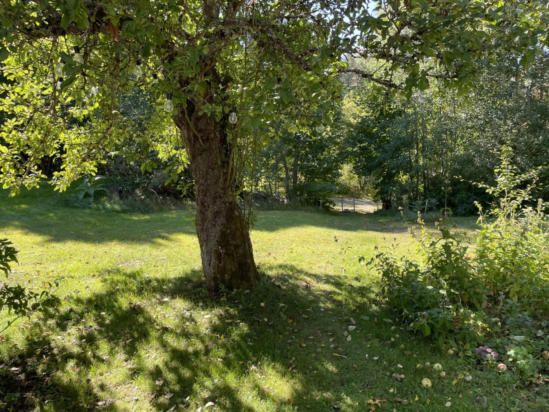 Photo 33