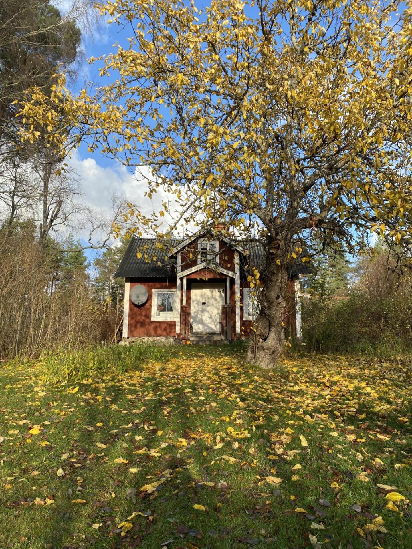 Photo 42