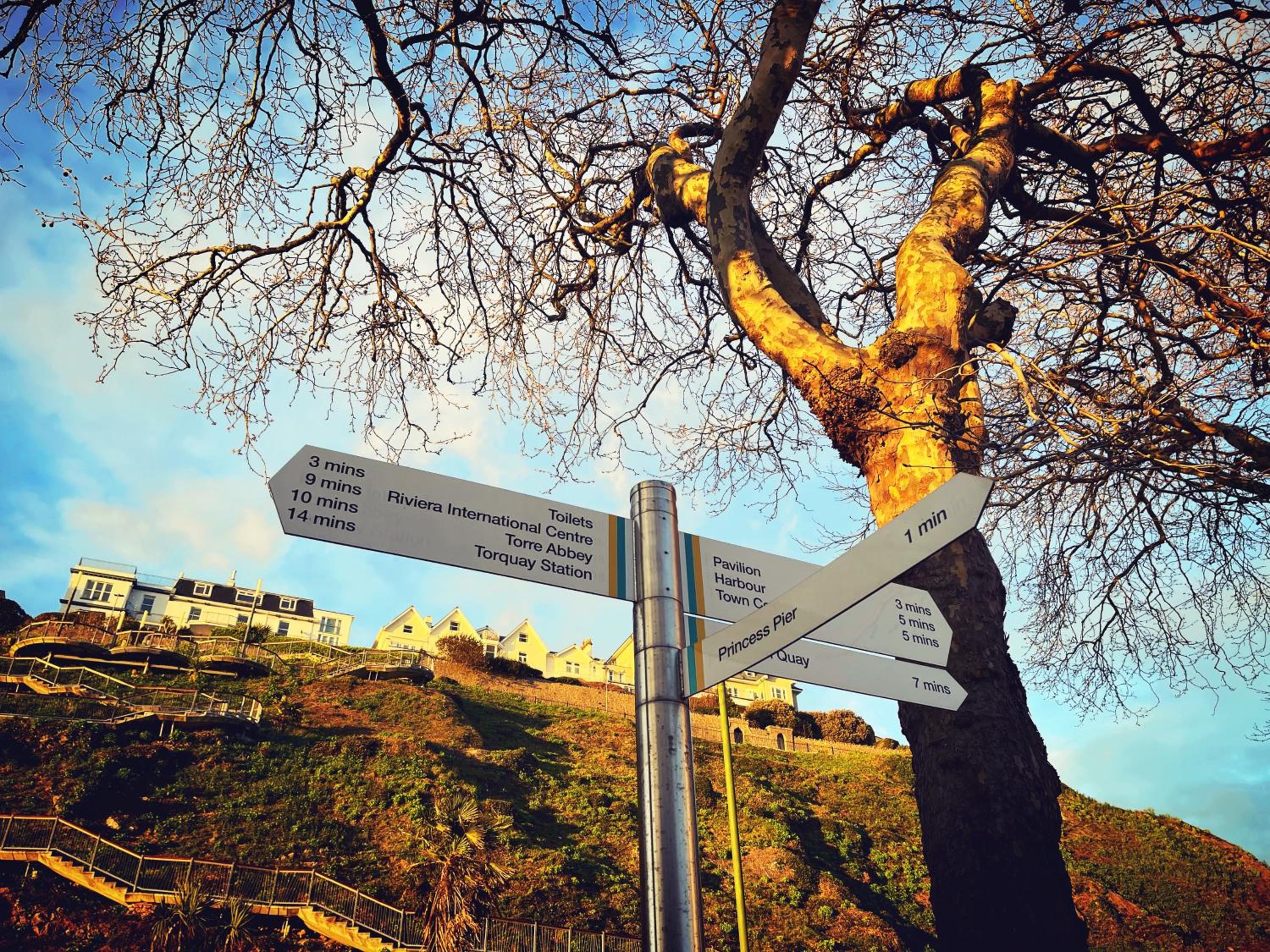 The Robin Hill