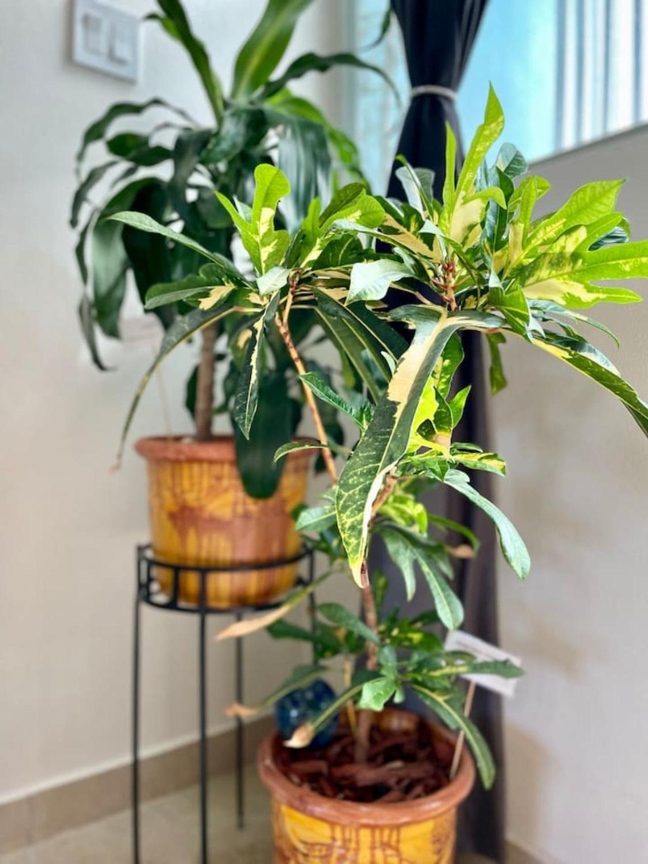 Pothos Beach PH 3BR Apt w Rooftop w Pool Access view 2